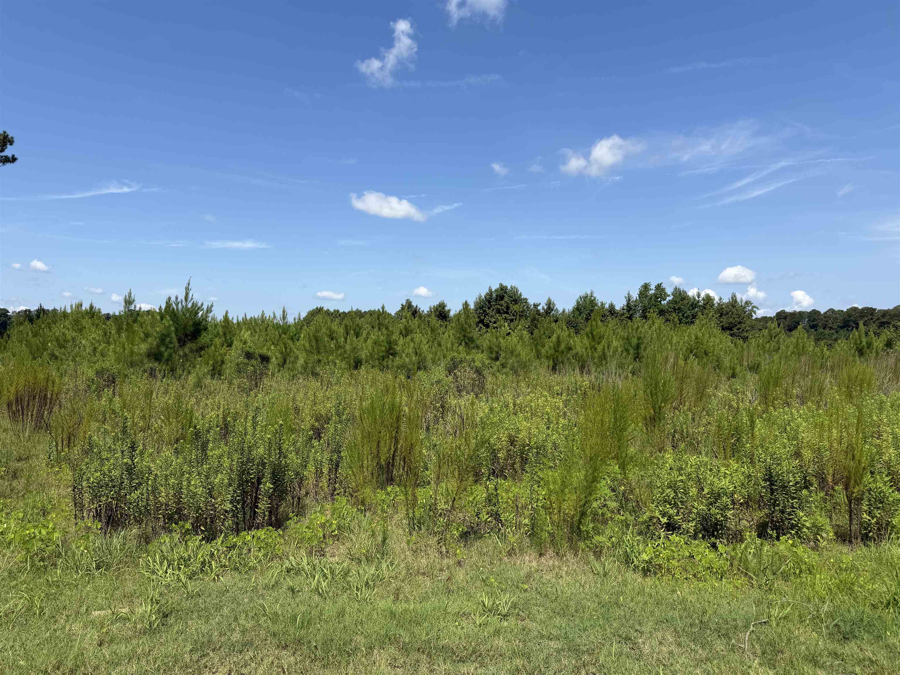 175 Dove Rd. Property Photo 12