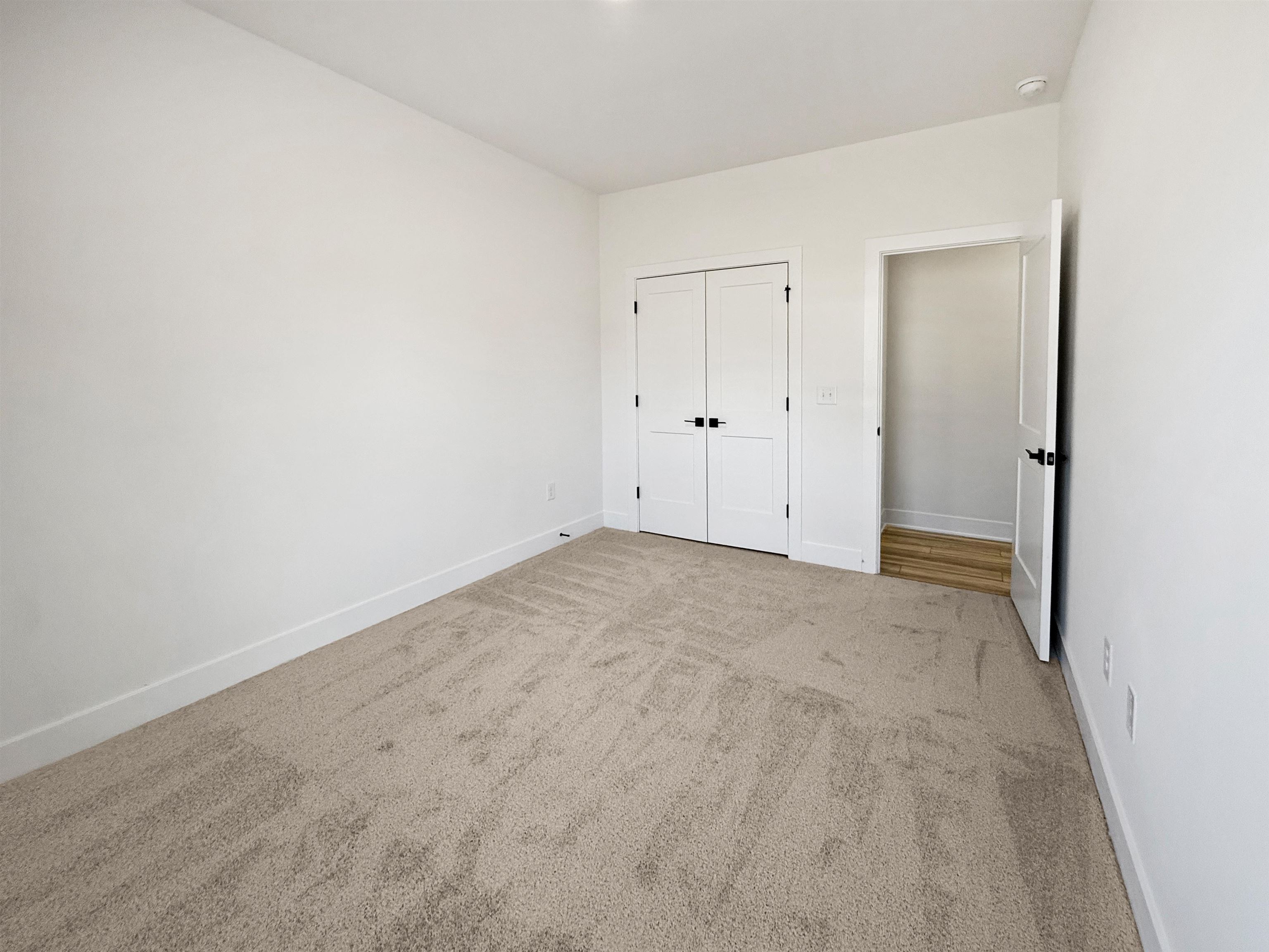 371 Whitetail Way Property Photo 21