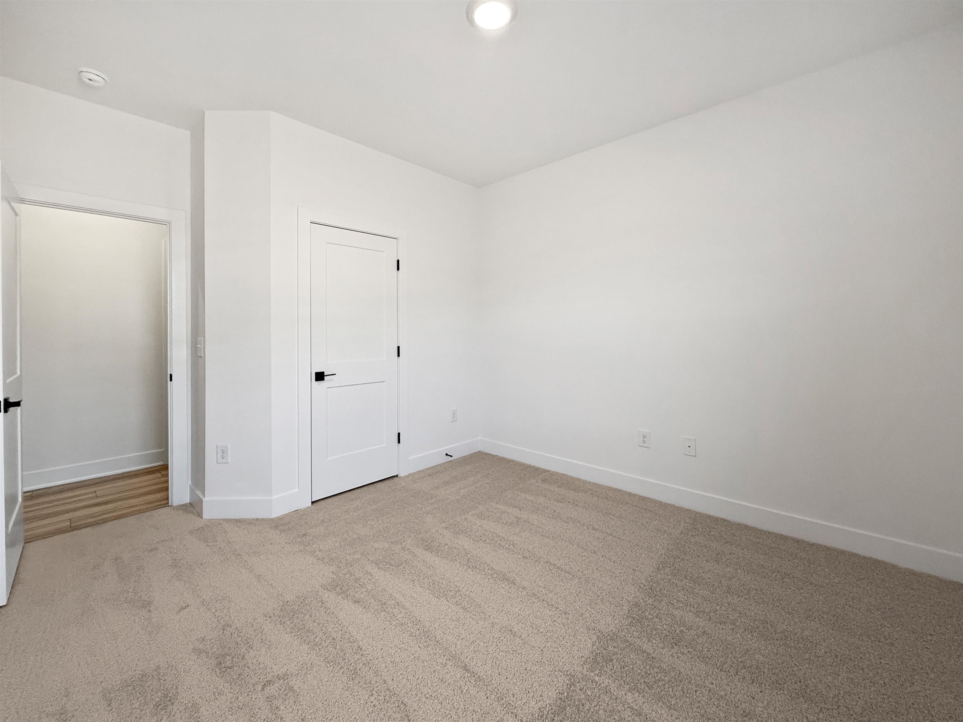 371 Whitetail Way Property Photo 22
