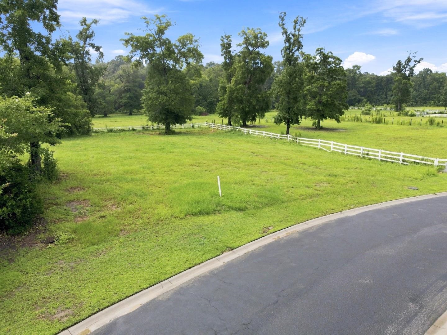 107 Triple Crown Ct. Property Photo 2