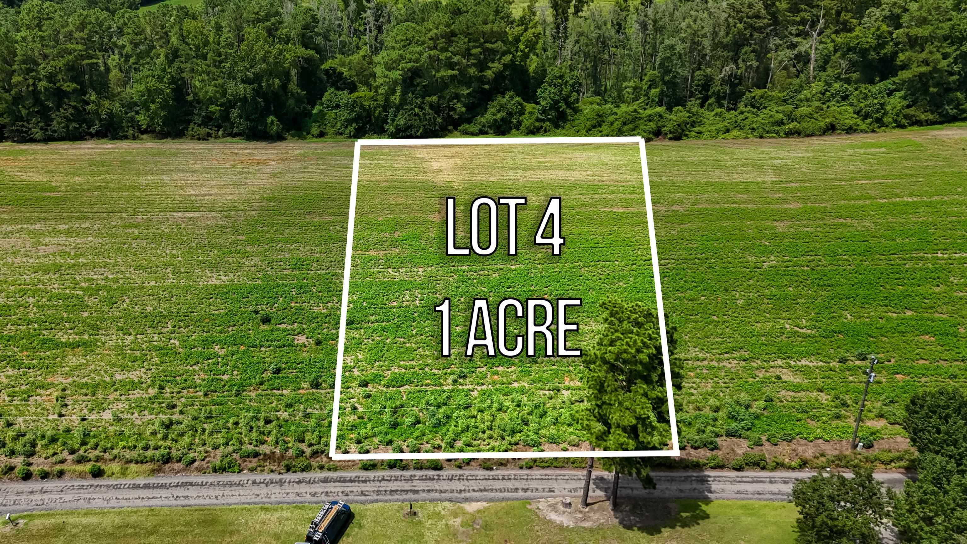 Lot 4 Ida Ln Property Photo 1
