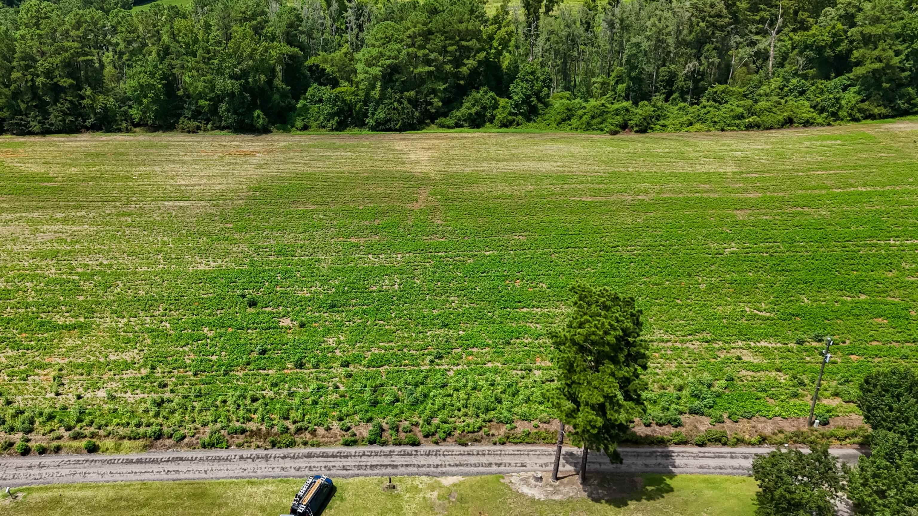Lot 4 Ida Ln Property Photo 2