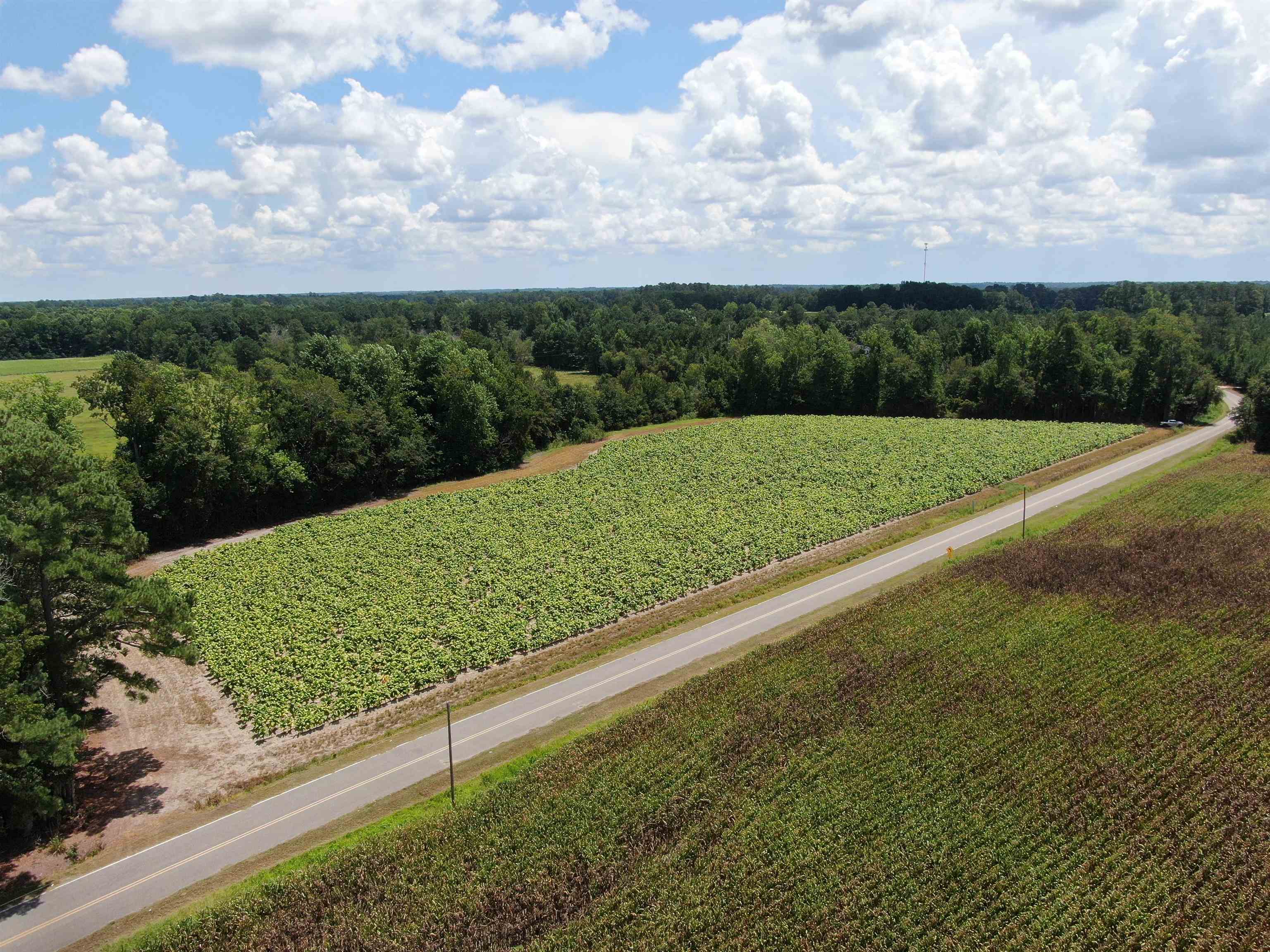 Tbd Black Creek Rd. Property Photo 1