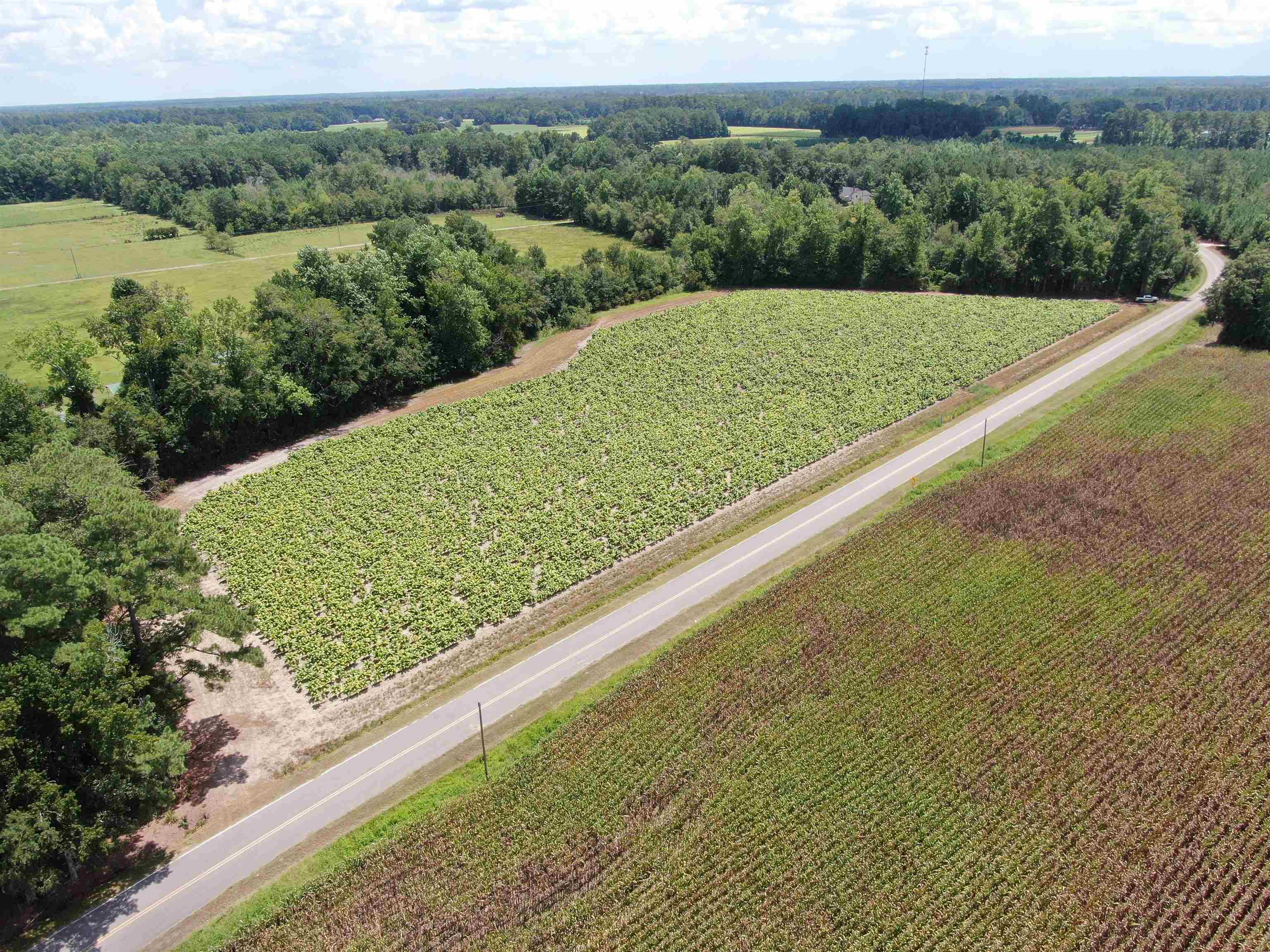 Tbd Black Creek Rd. Property Photo 3