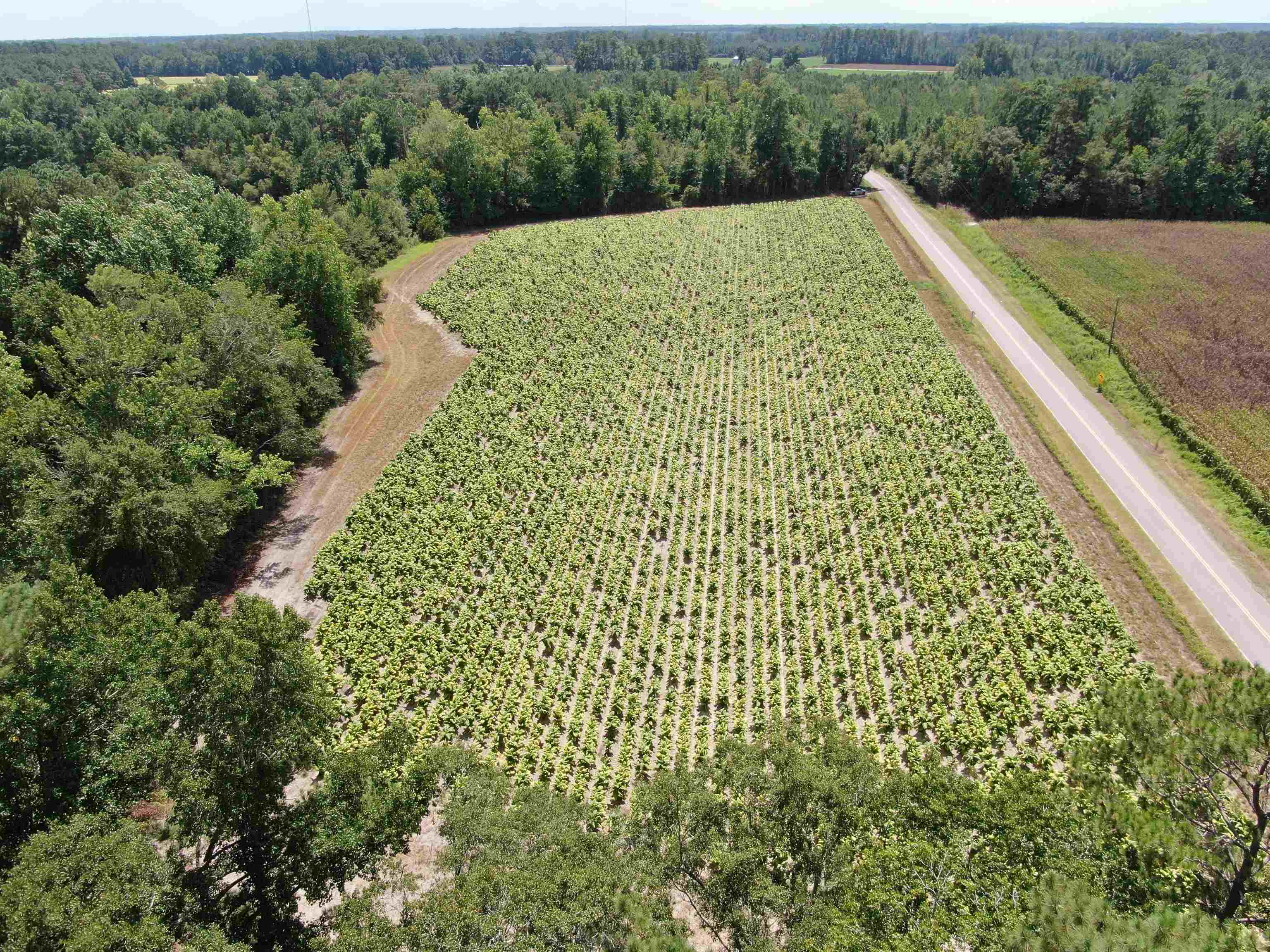 Tbd Black Creek Rd. Property Photo 4