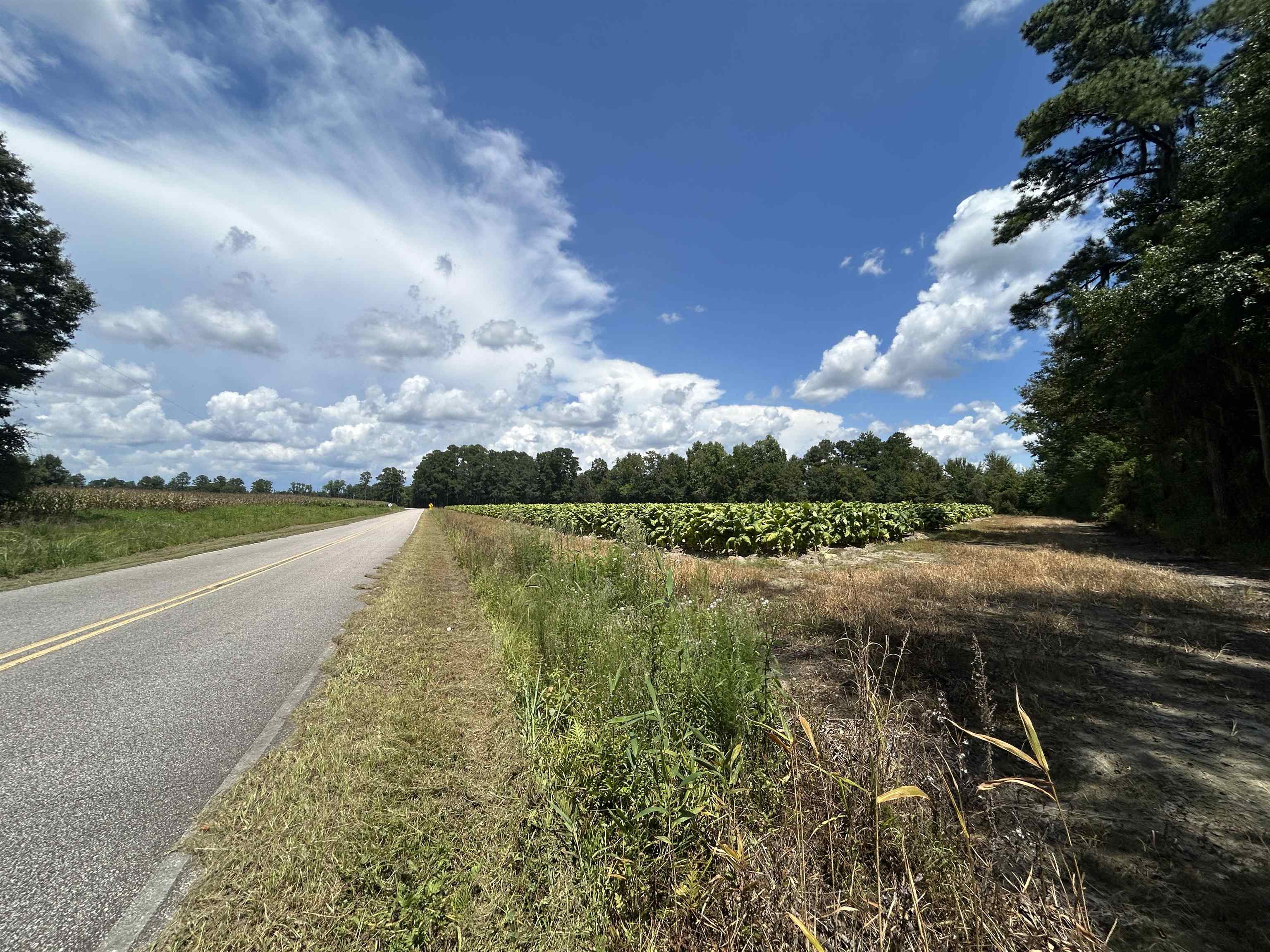 Tbd Black Creek Rd. Property Photo 8