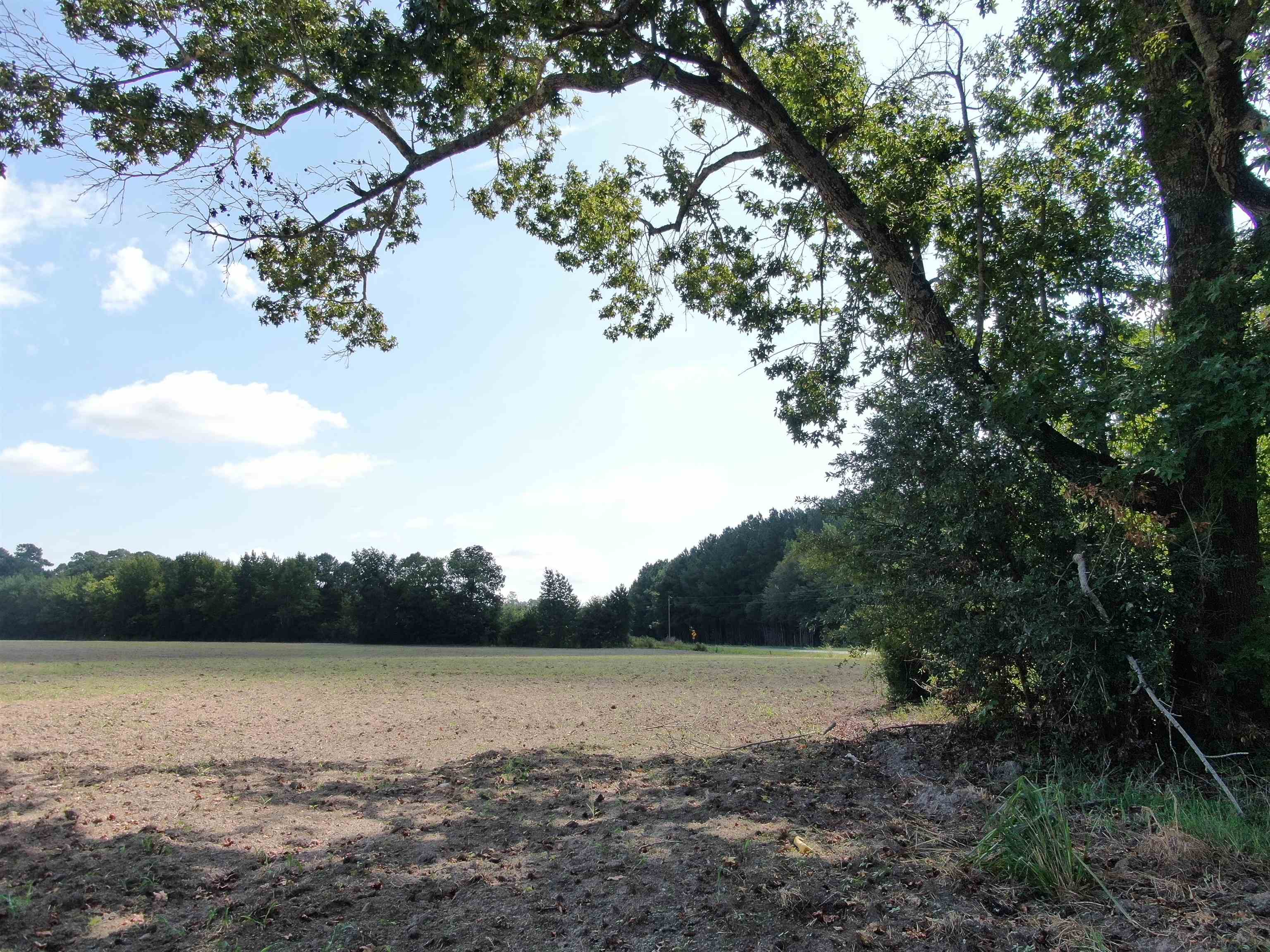 Tbd Pearlie Dr. Property Photo 4