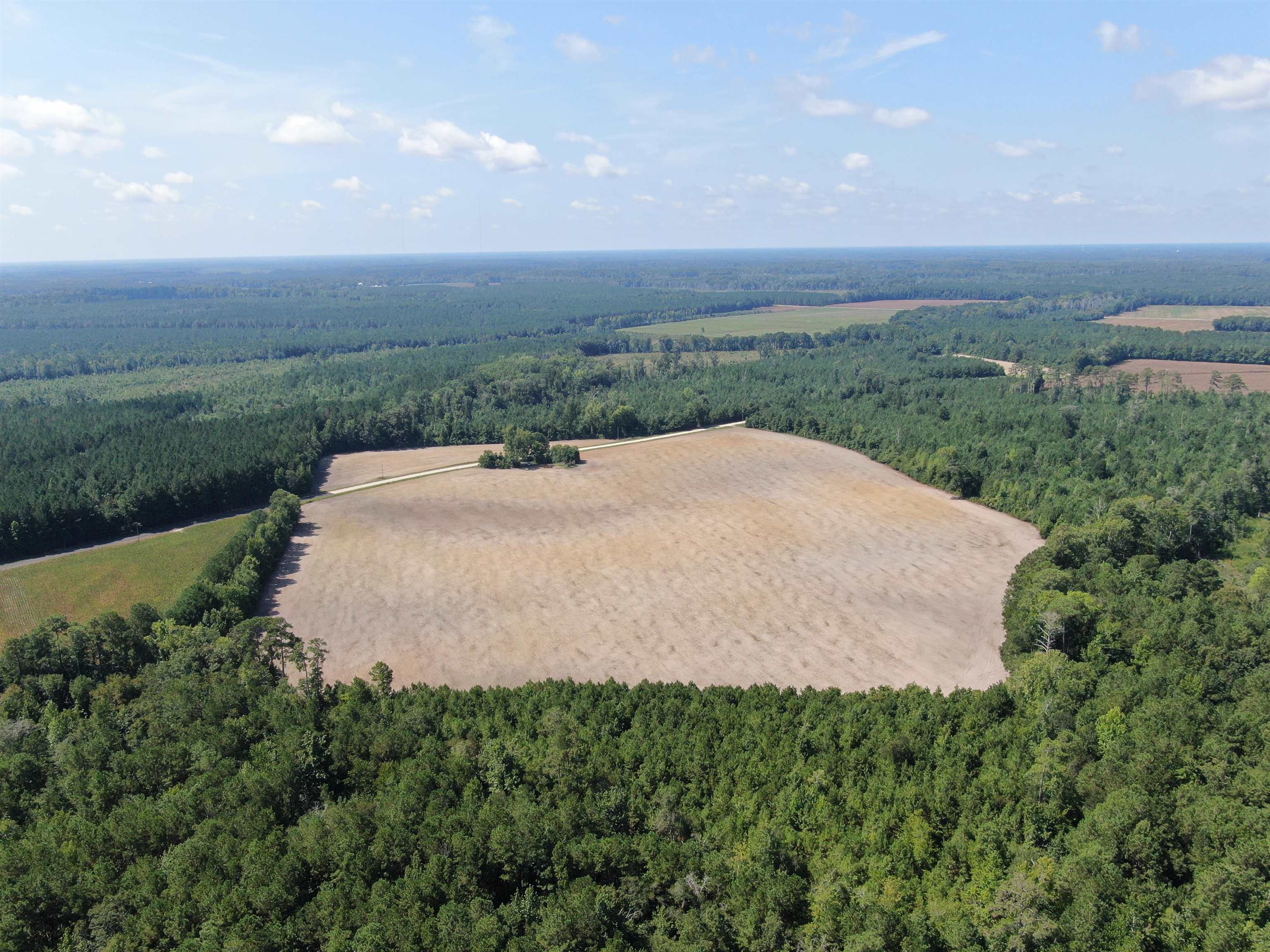 Tbd Pearlie Dr. Property Photo 6