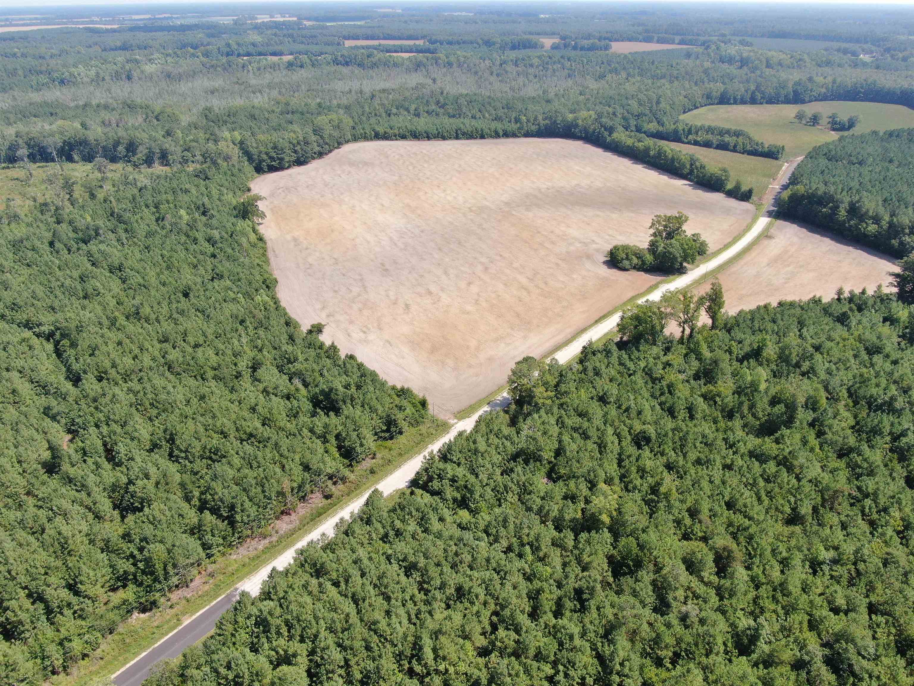 Tbd Pearlie Dr. Property Photo 12