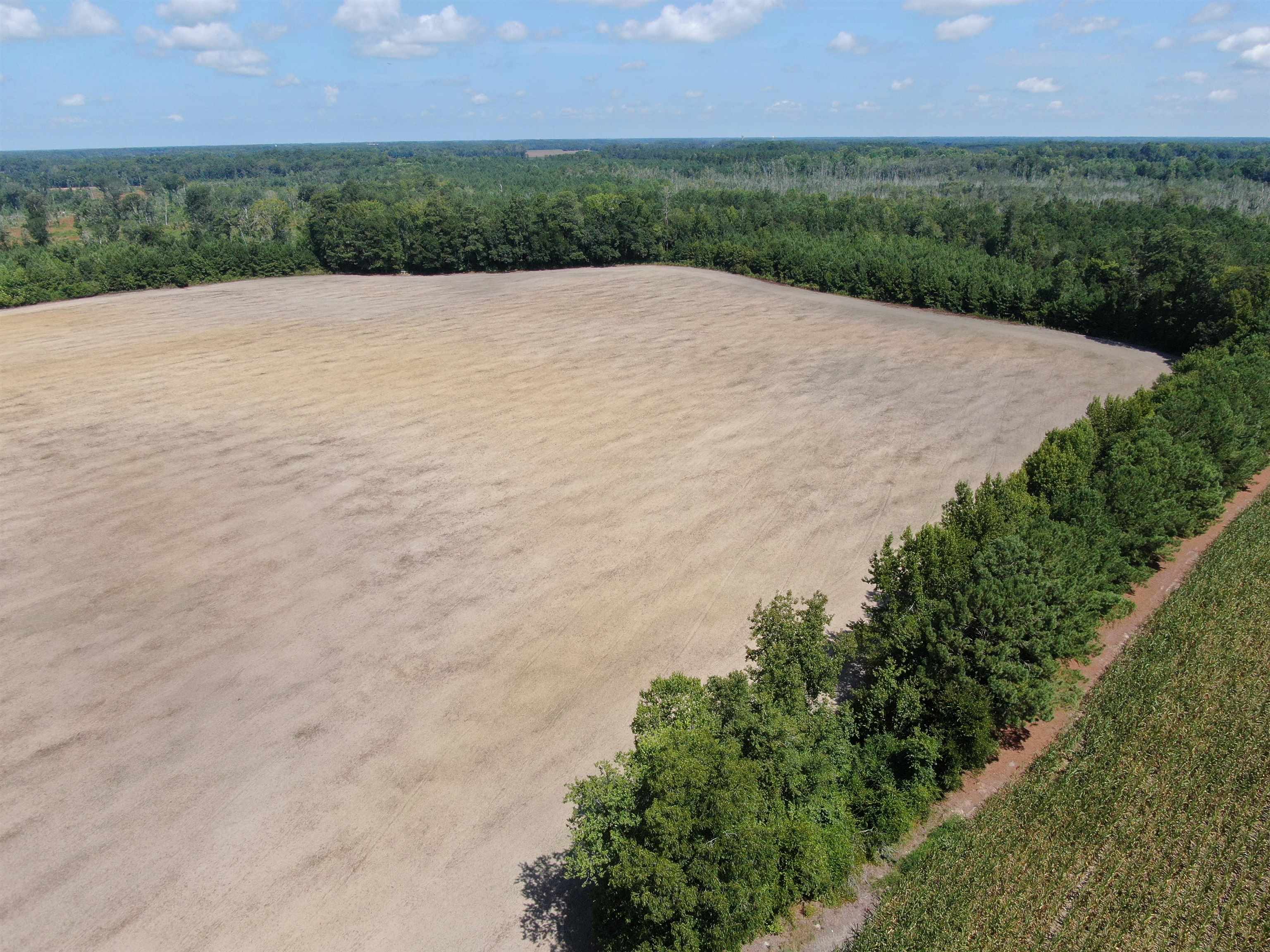 Tbd Pearlie Dr. Property Photo 16