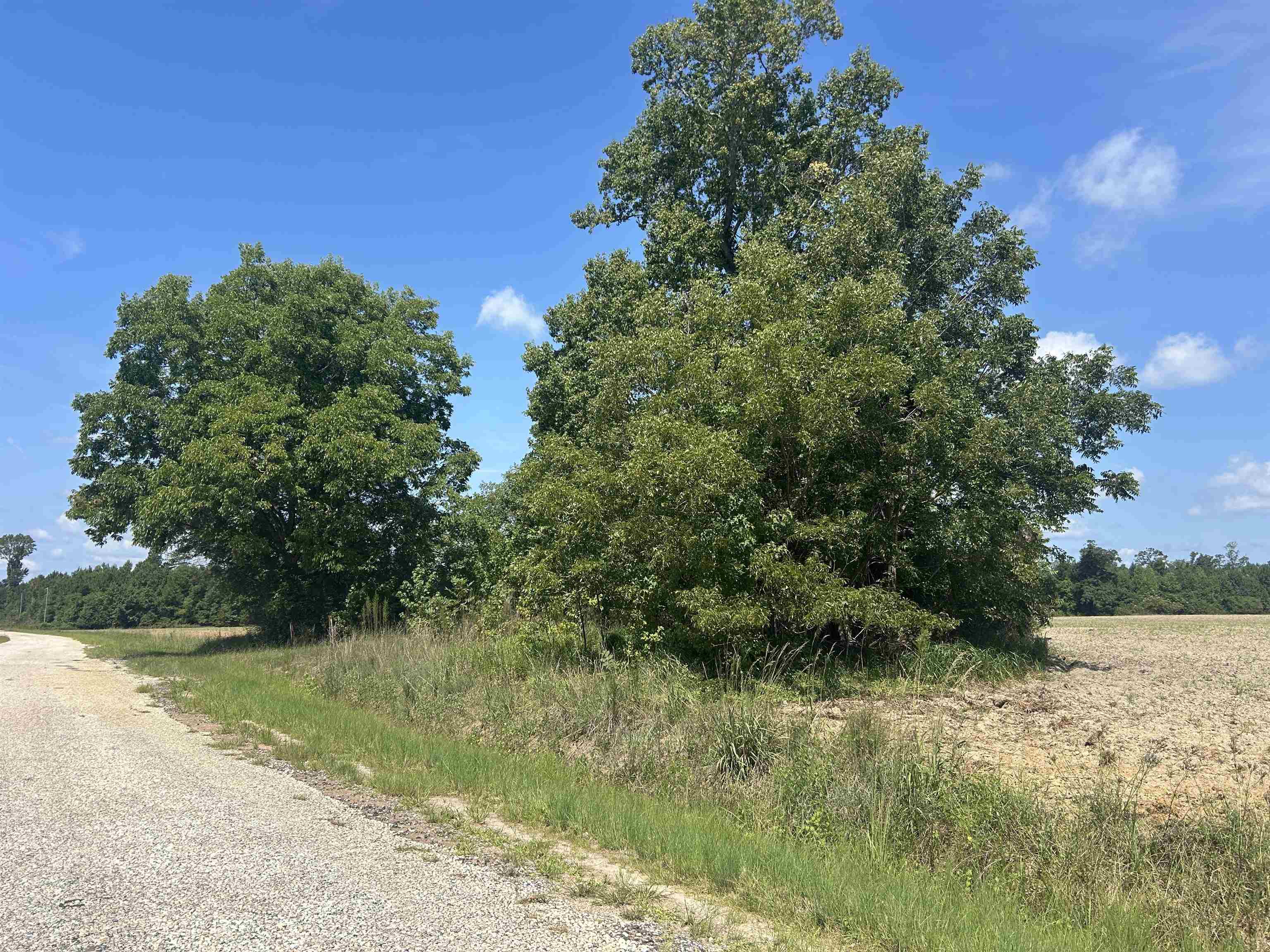 Tbd Pearlie Dr. Property Photo 18