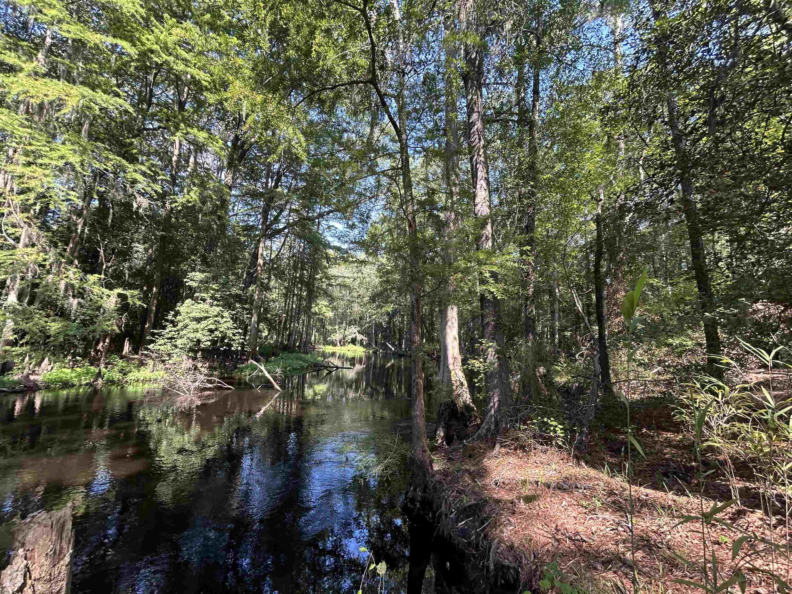 Tbd Mount Calvary Rd. Property Photo 1