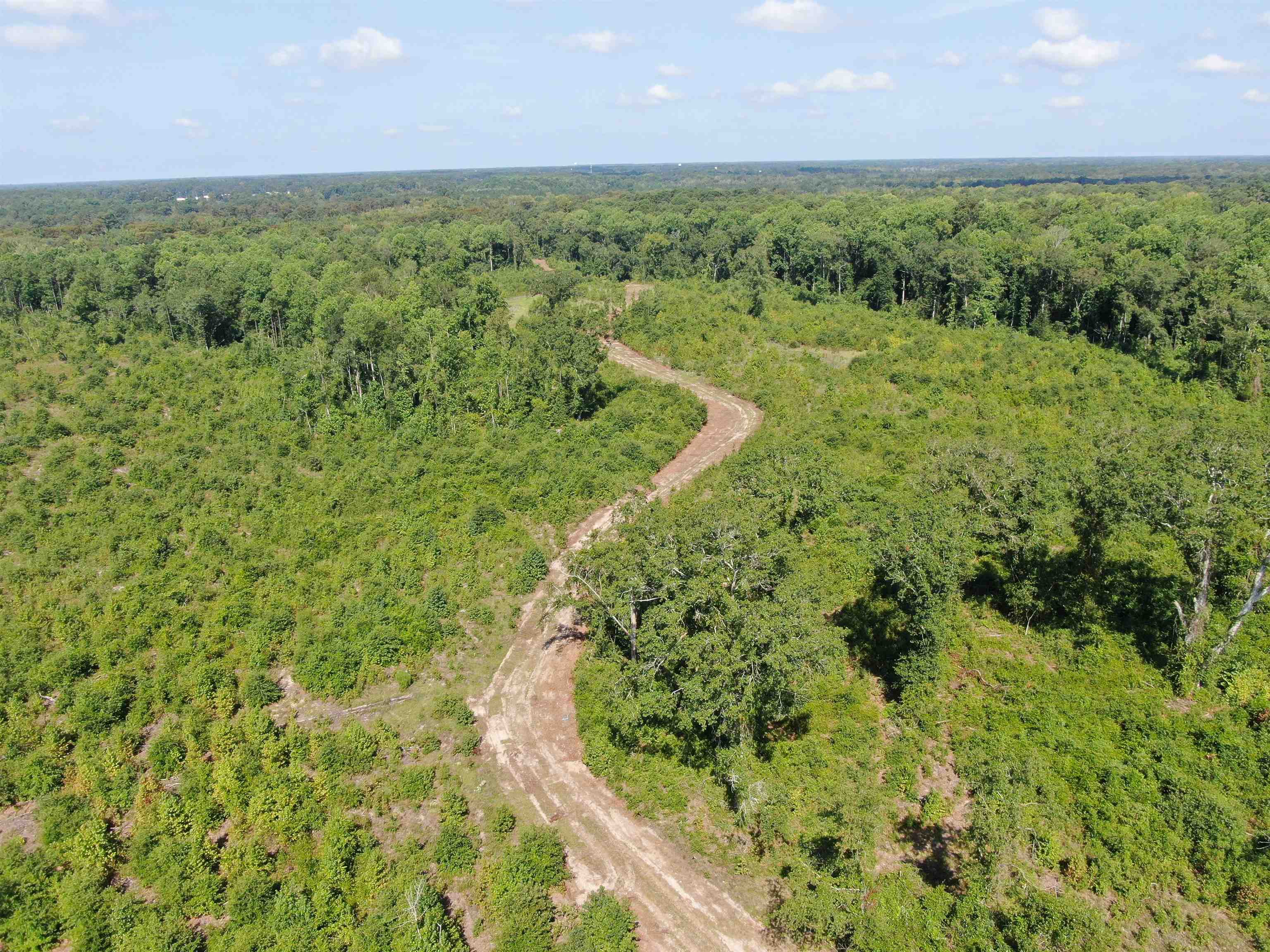 Tbd Mount Calvary Rd. Property Photo 6