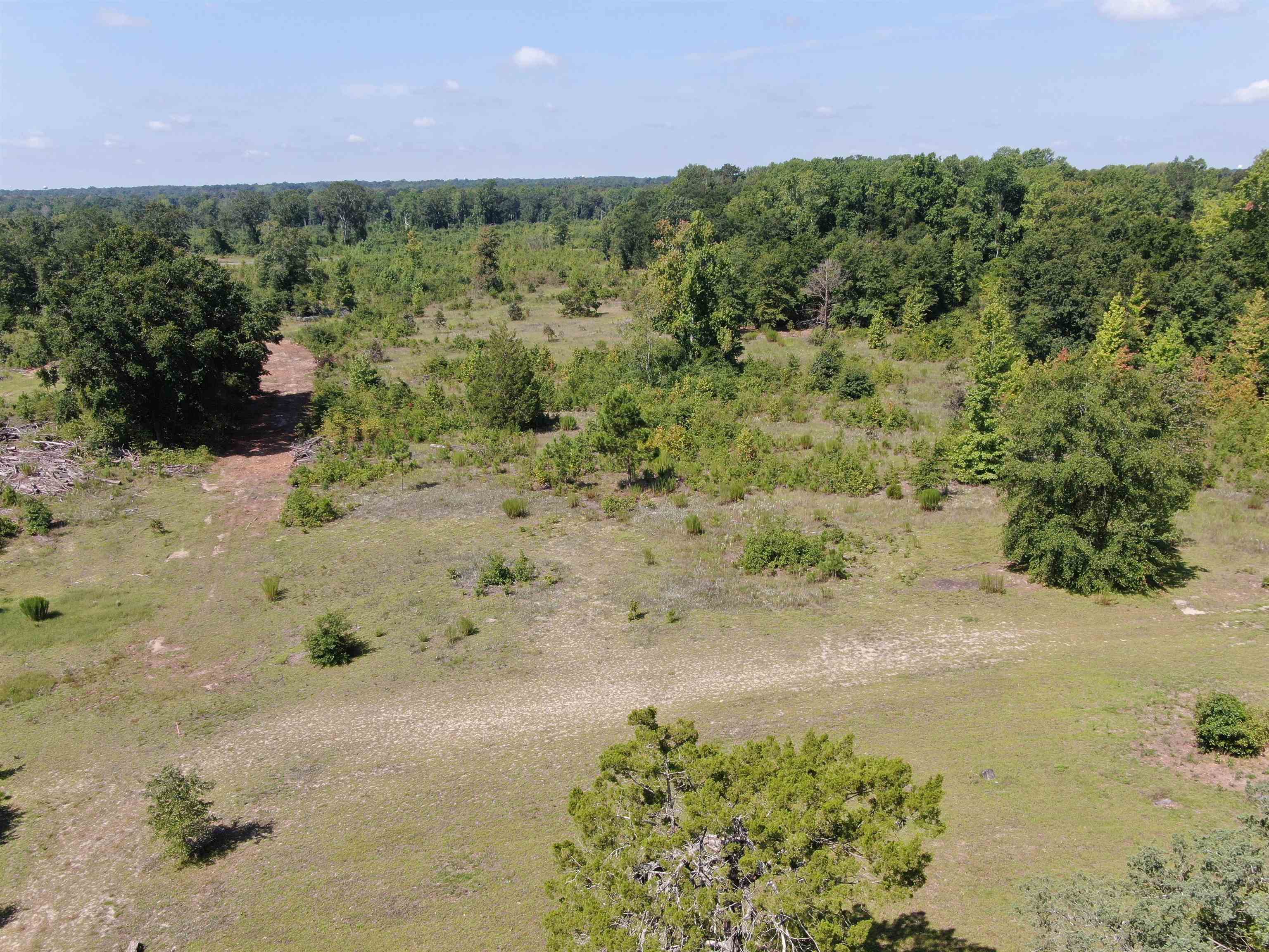 Tbd Mount Calvary Rd. Property Photo 11