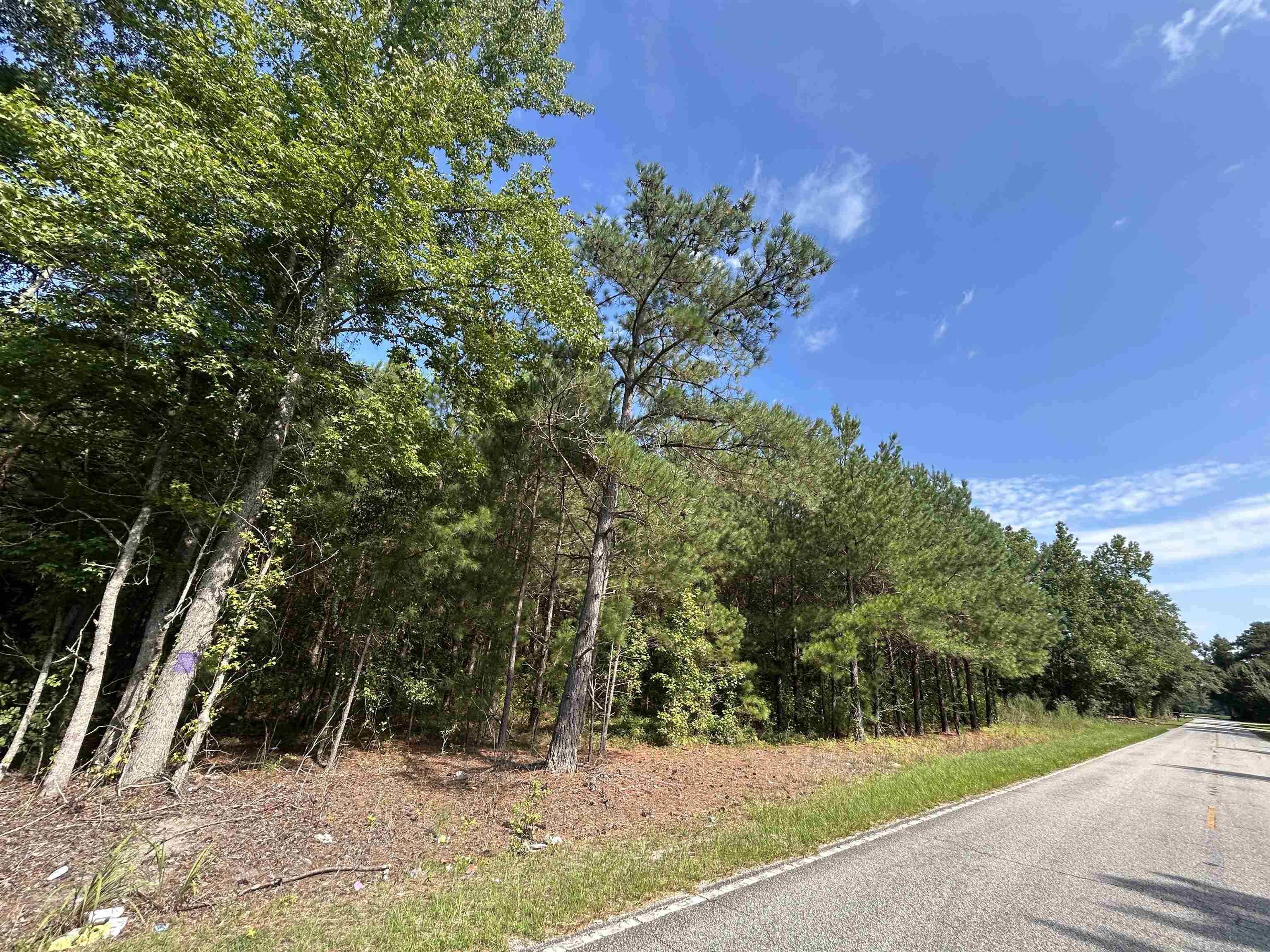Tbd Mount Calvary Rd. Property Photo 14