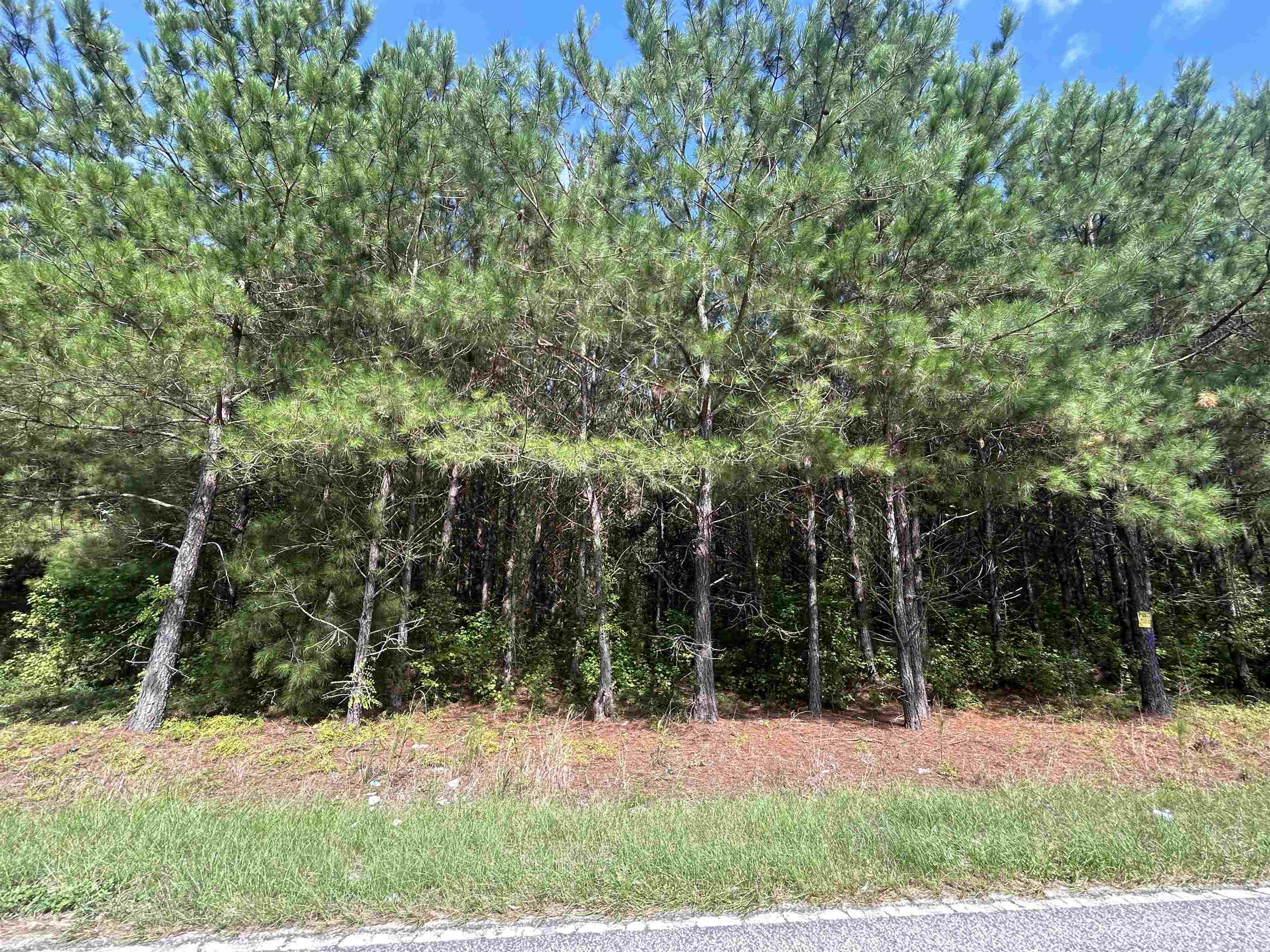 Tbd Mount Calvary Rd. Property Photo 15