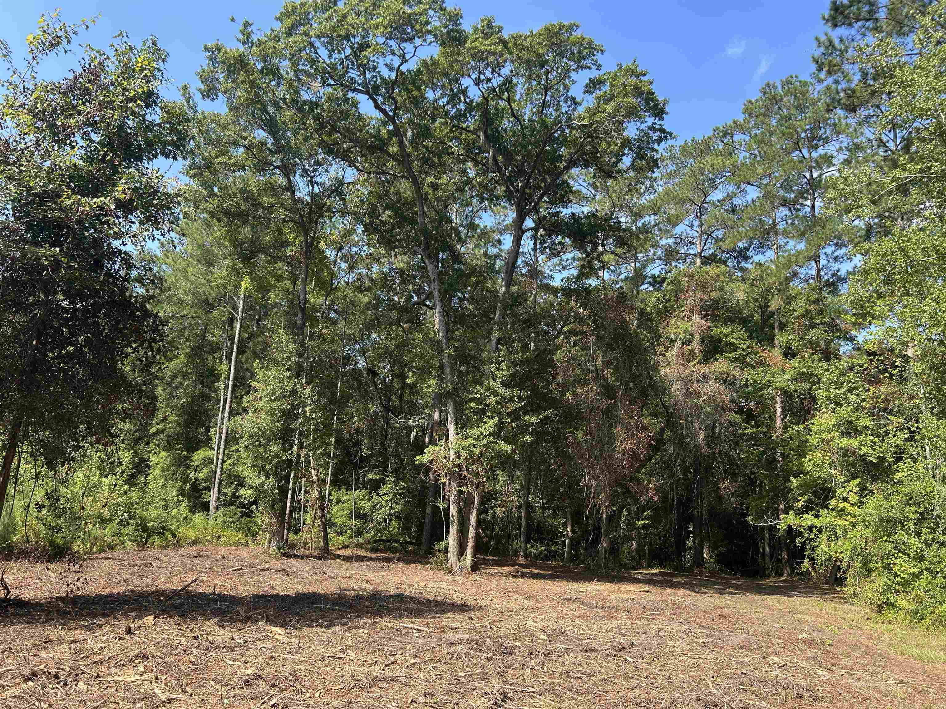 Tbd Mount Calvary Rd. Property Photo 17