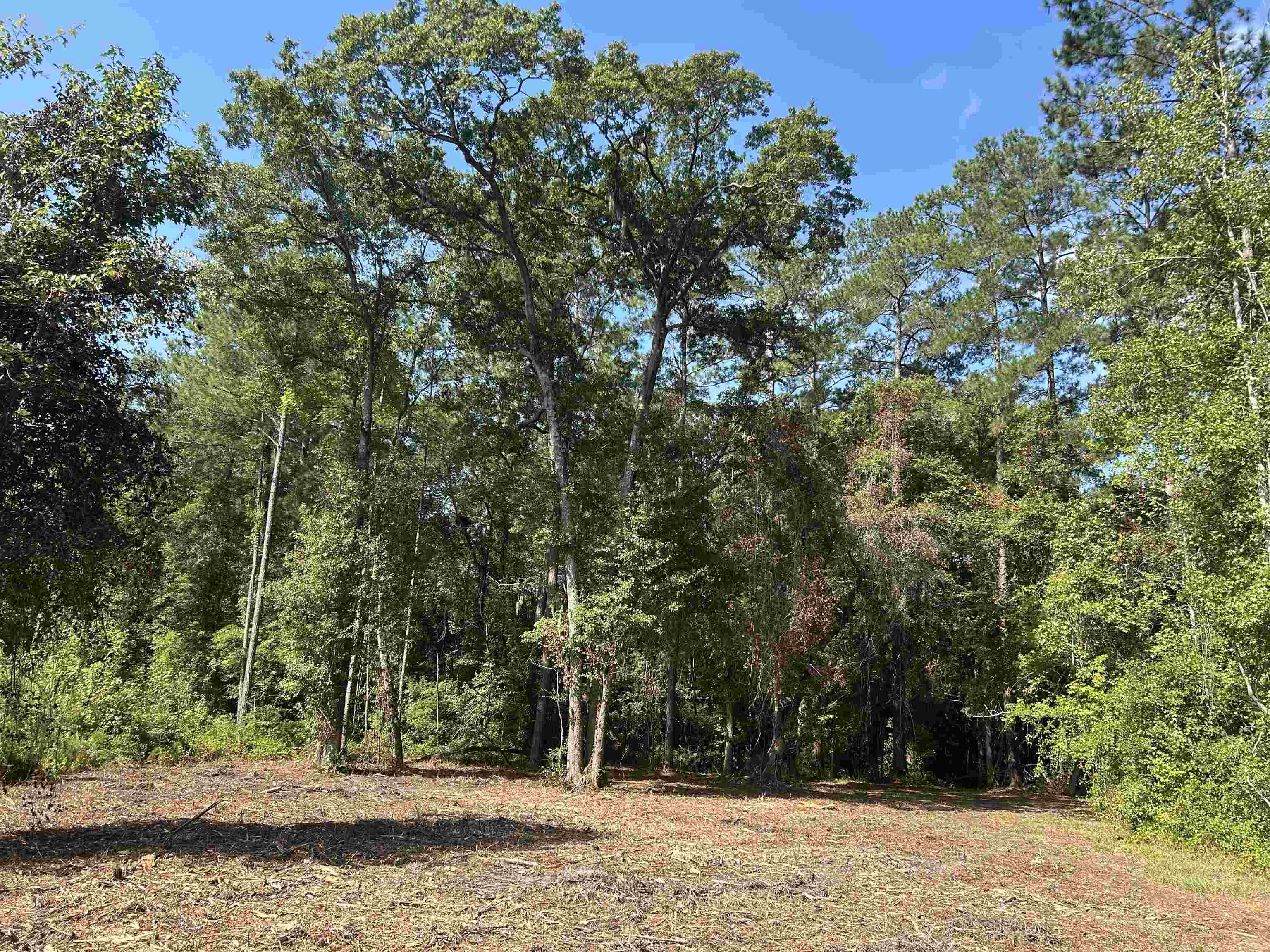 Tbd Mount Calvary Rd. Property Photo 18