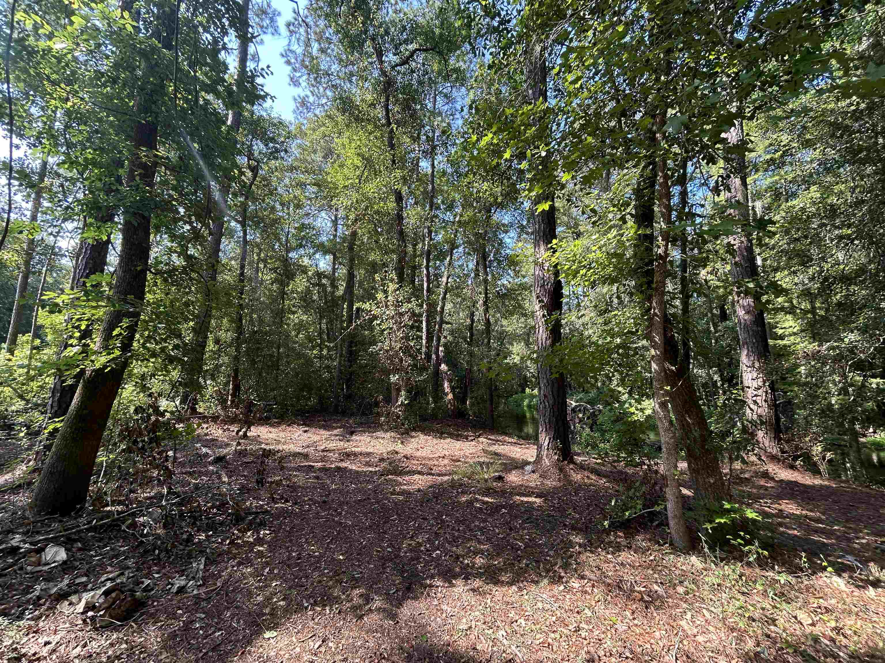 Tbd Mount Calvary Rd. Property Photo 19