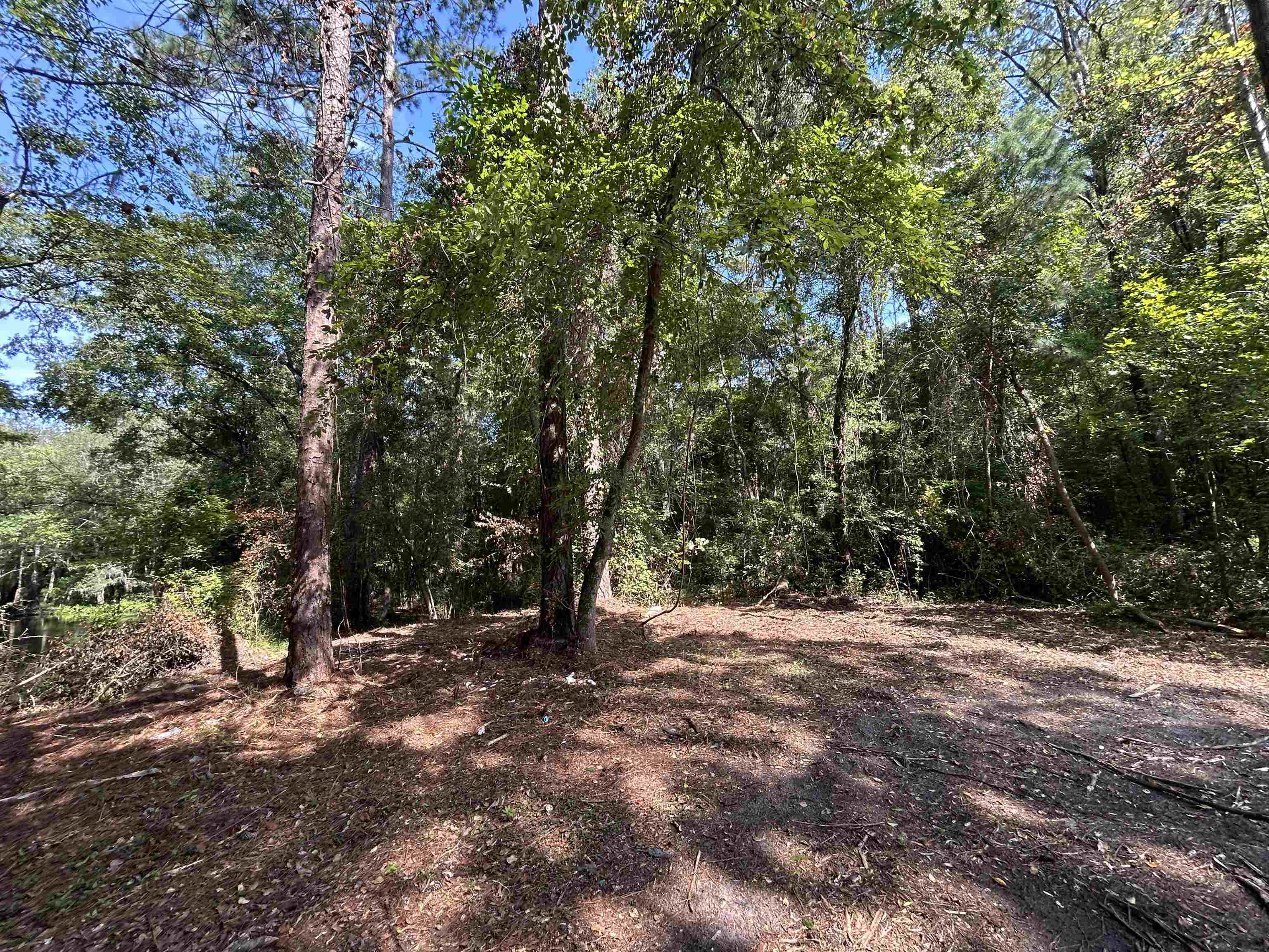 Tbd Mount Calvary Rd. Property Photo 20