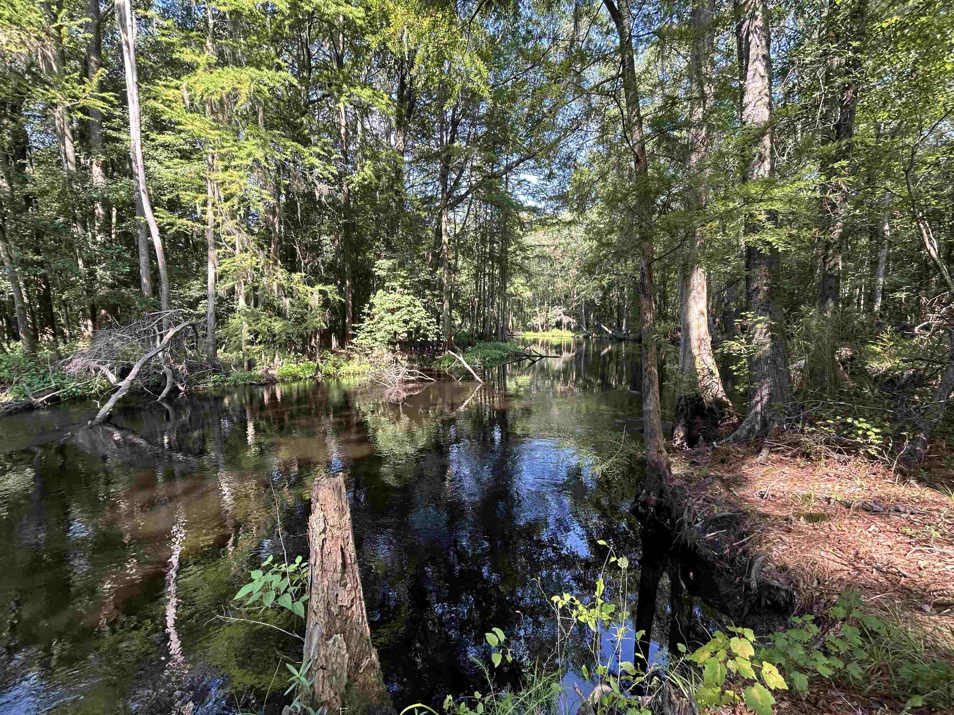 Tbd Mount Calvary Rd. Property Photo 22