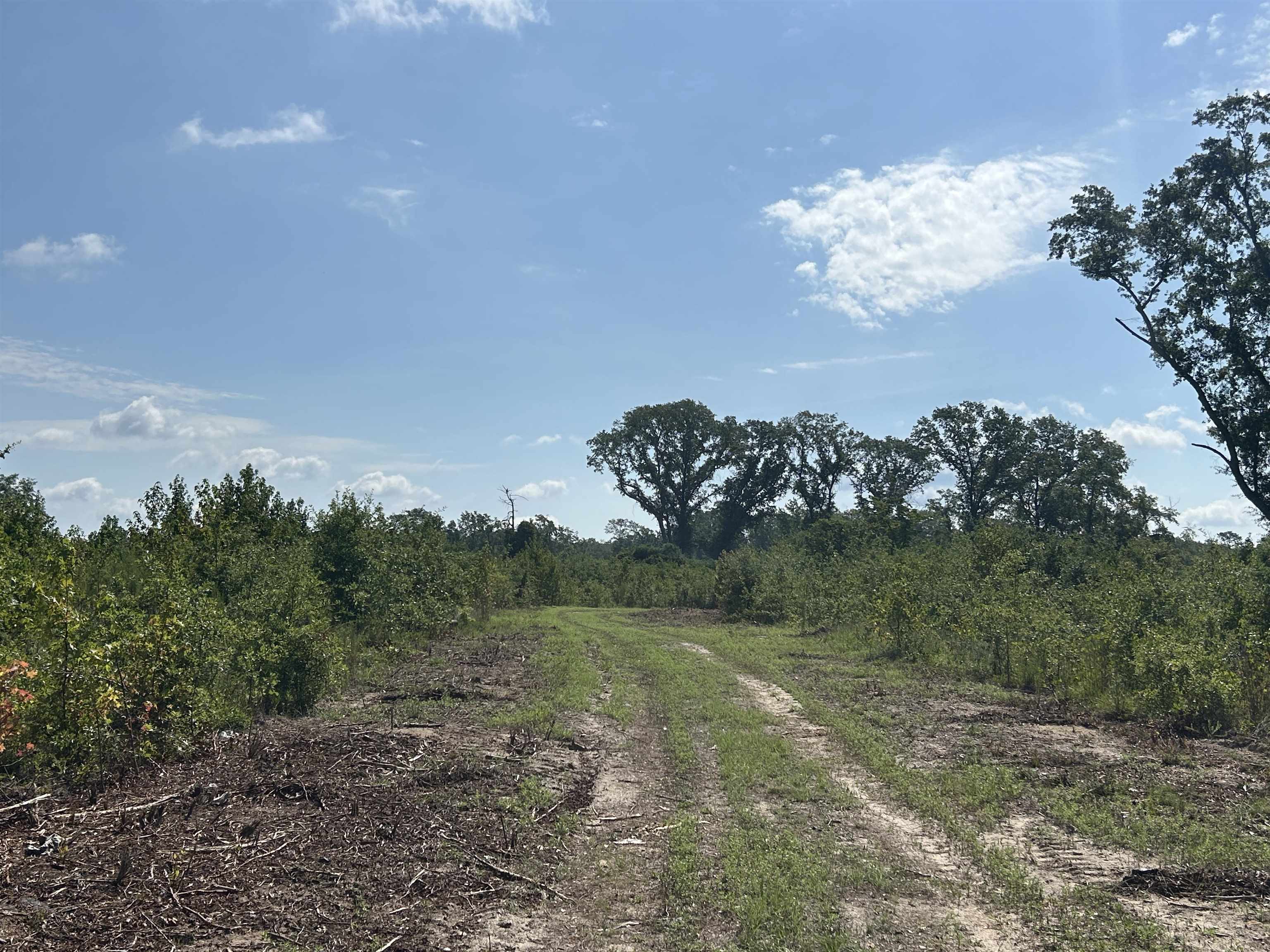 Tbd Mount Calvary Rd. Property Photo 24