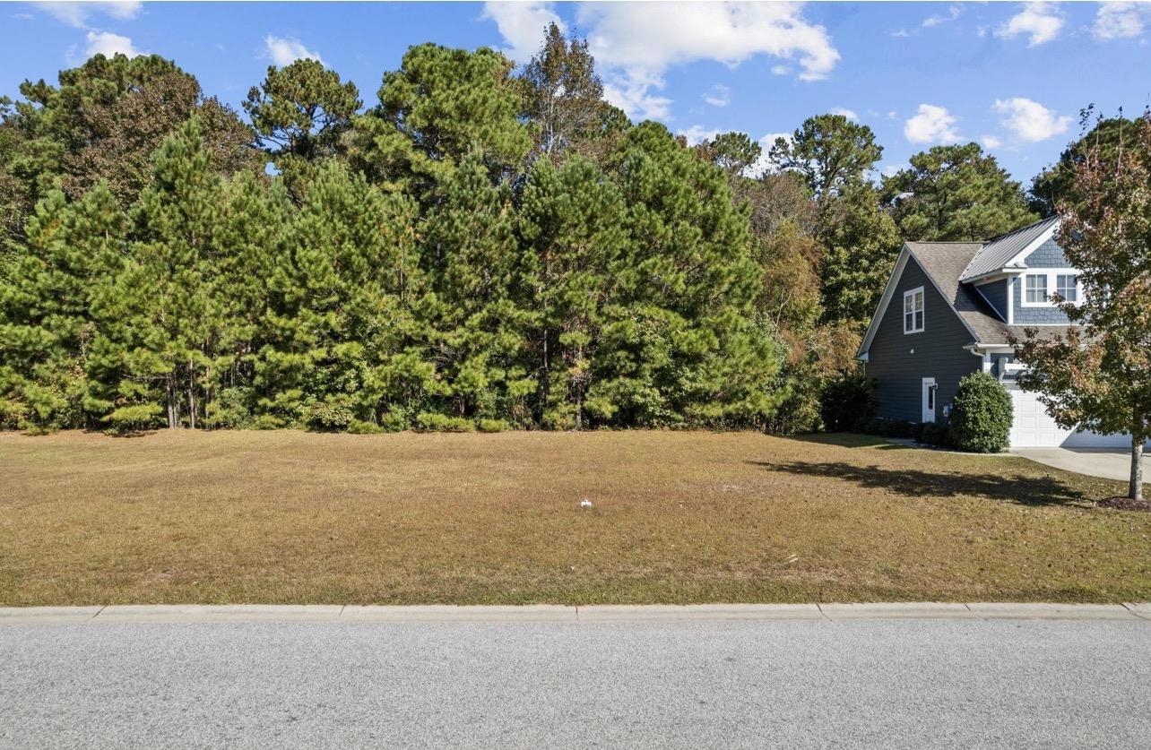 3029 Moss Bridge Ln. Property Photo 1