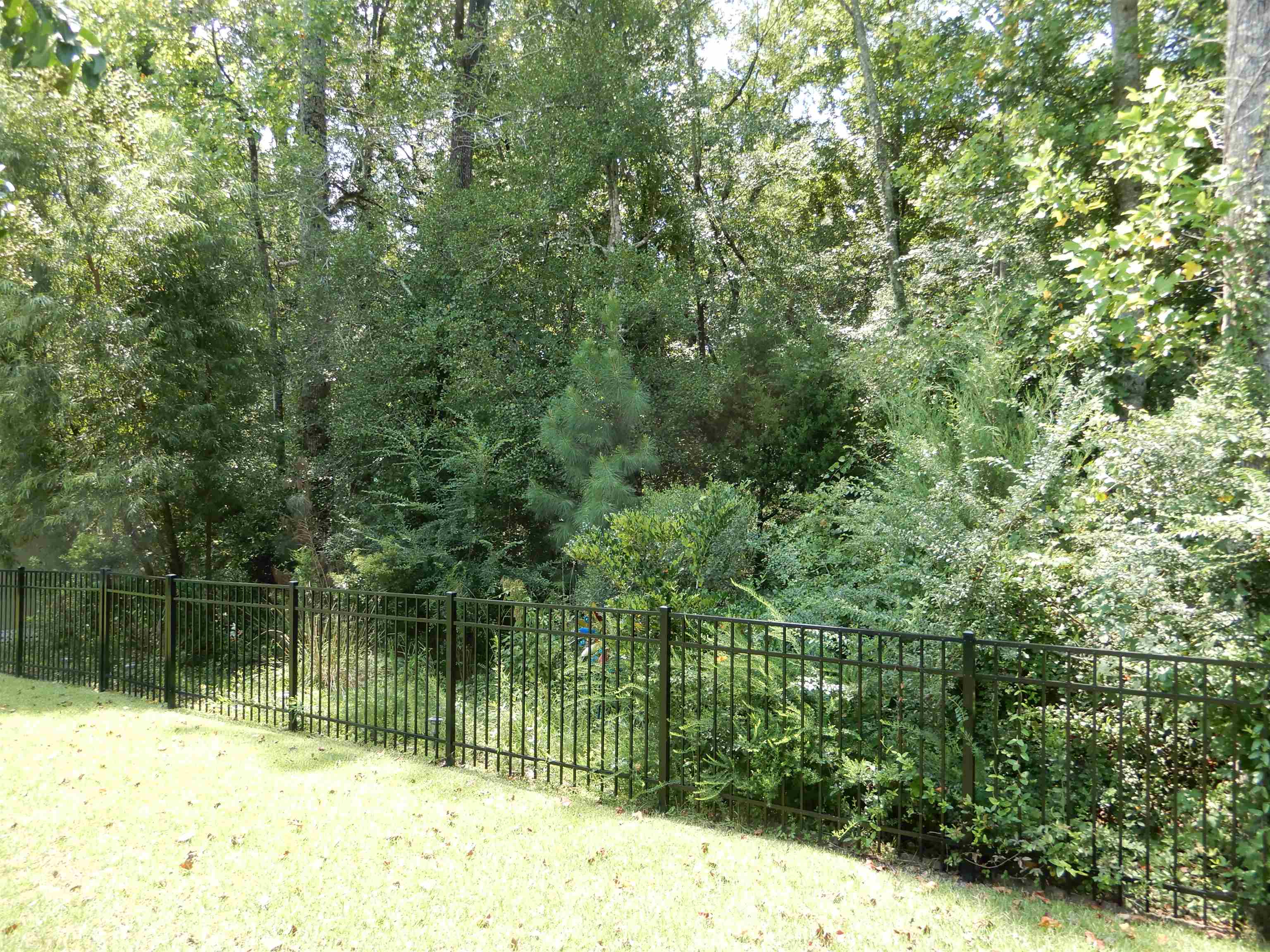 209 Board Landing Circle Property Photo 27