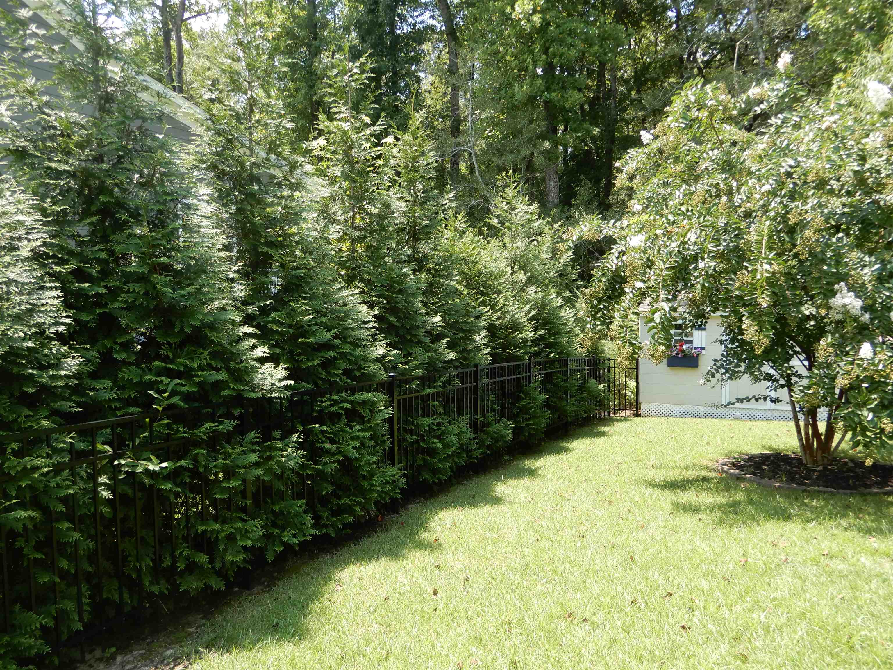 209 Board Landing Circle Property Photo 28