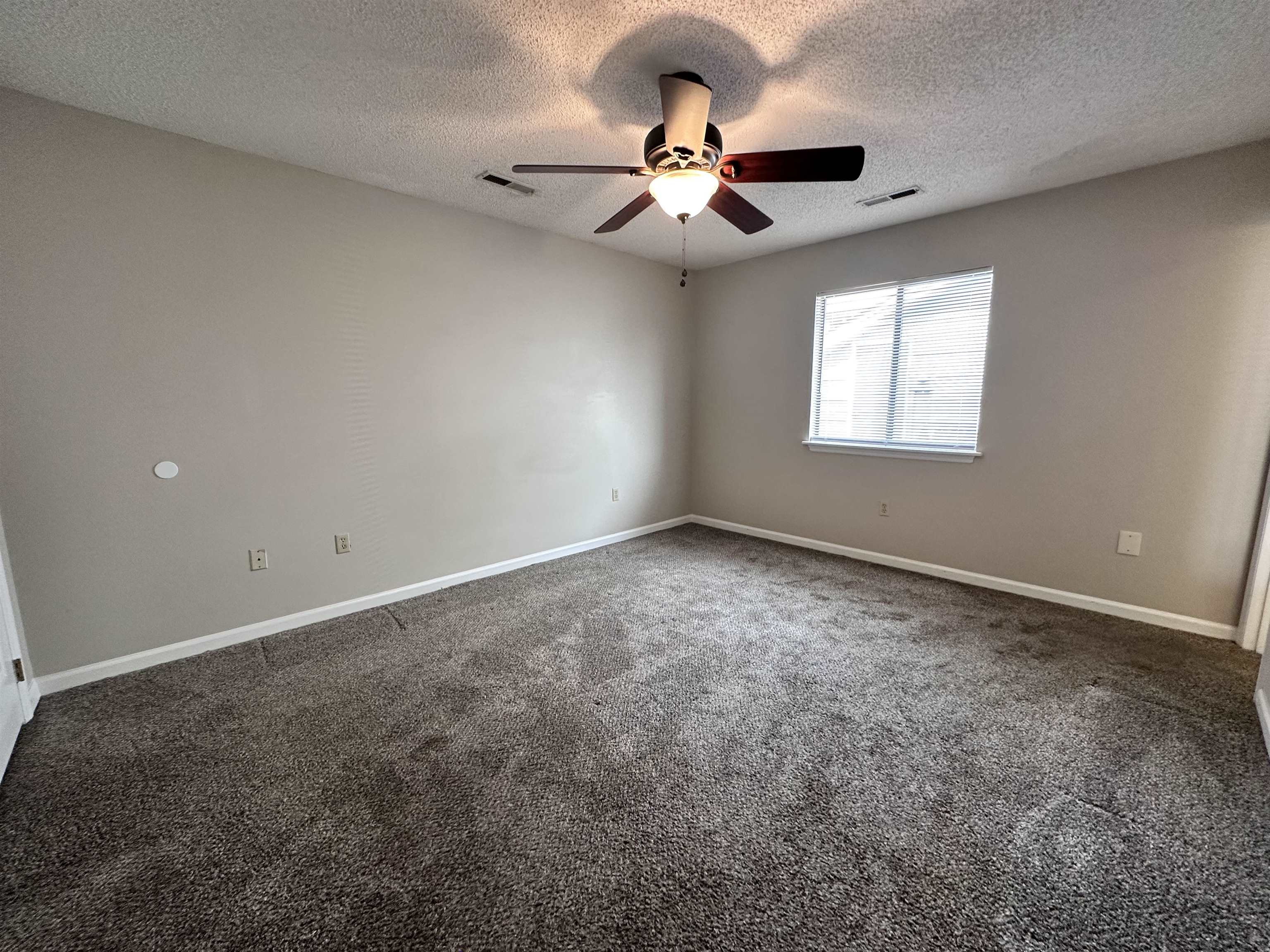 6536 Valene Ct. Property Photo 20
