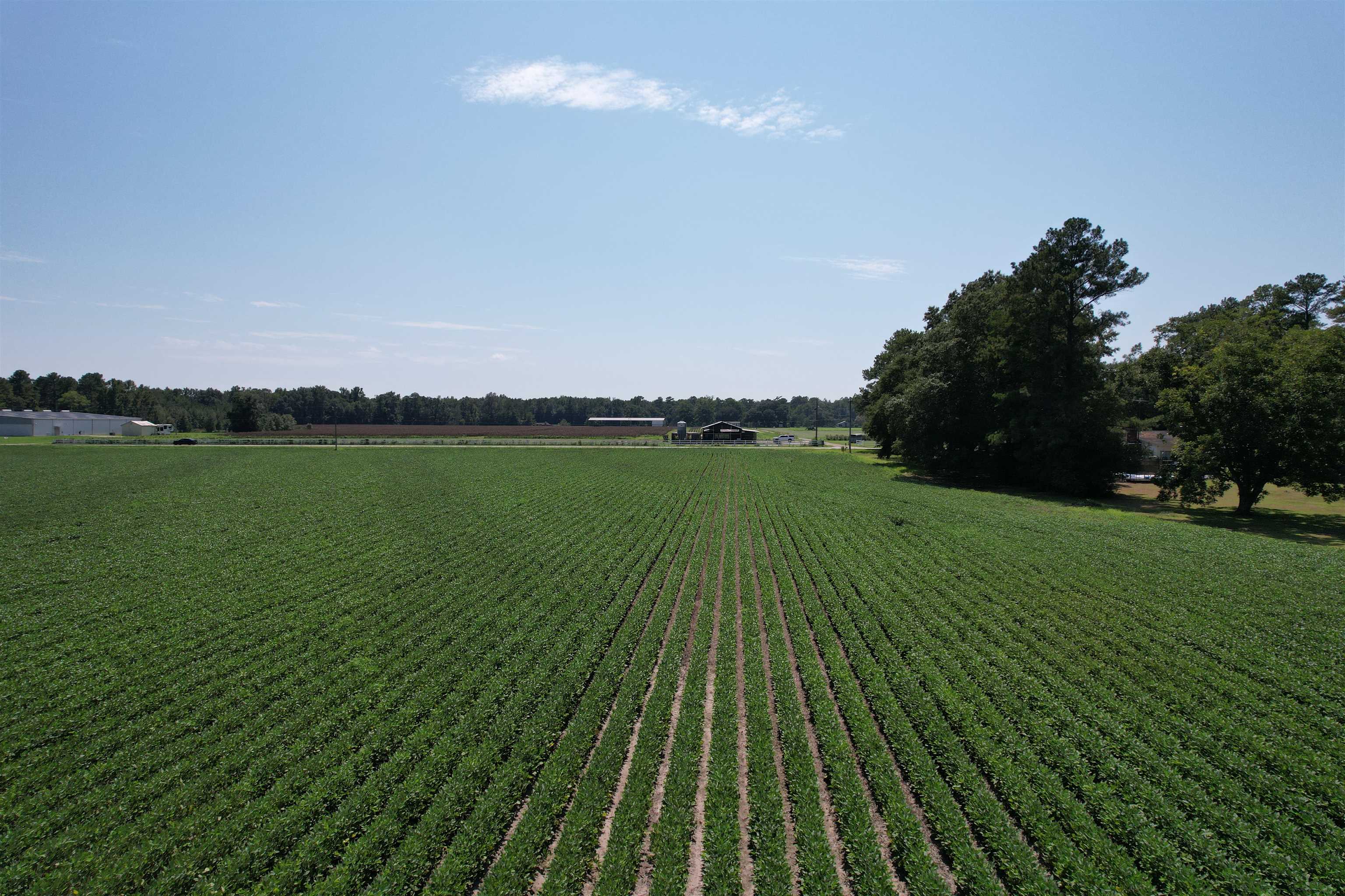 Lot 4 - Sumter Hwy. Property Photo 3