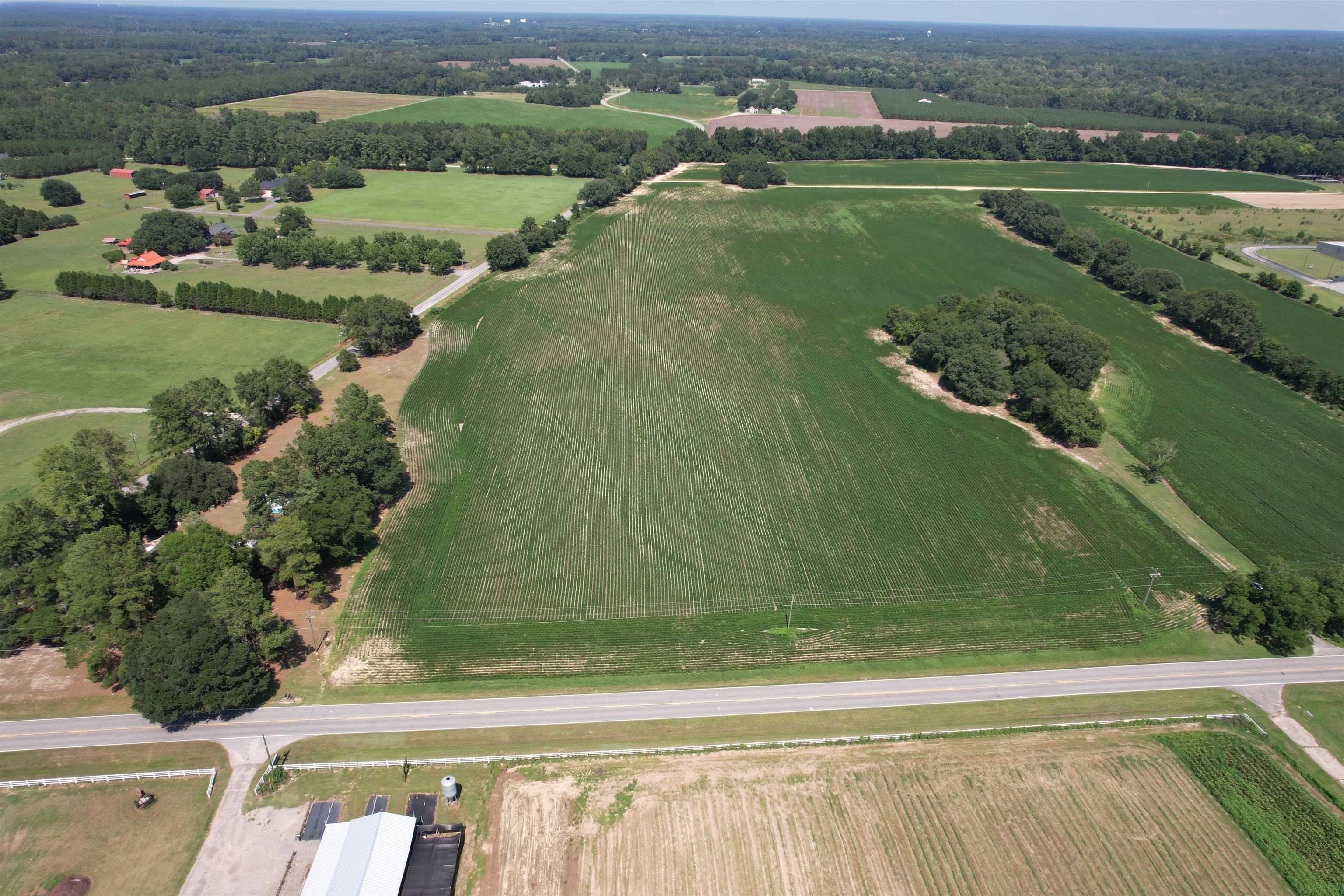 Lot 4 - Sumter Hwy. Property Photo 4