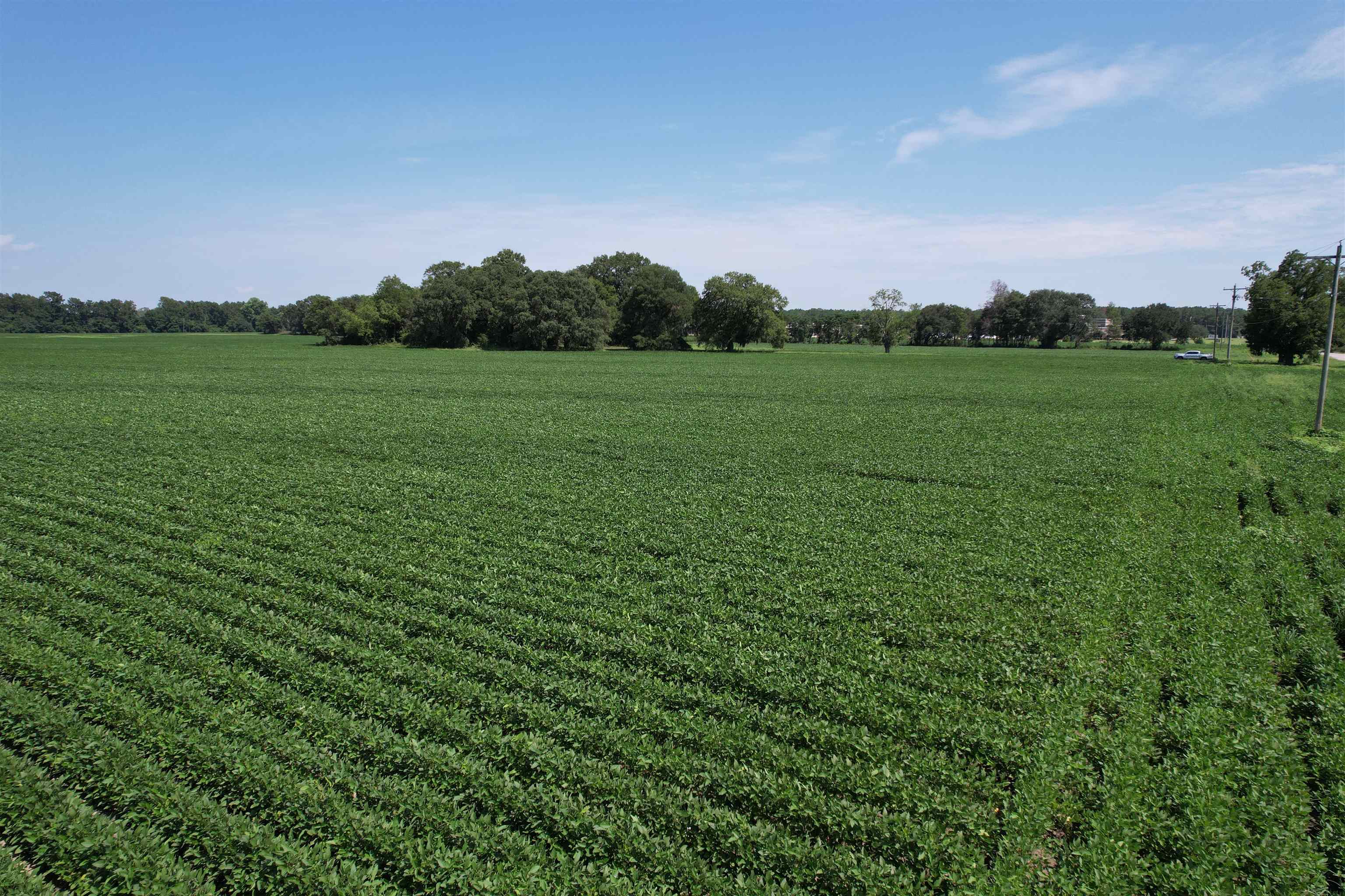 Lot 4 - Sumter Hwy. Property Photo 5