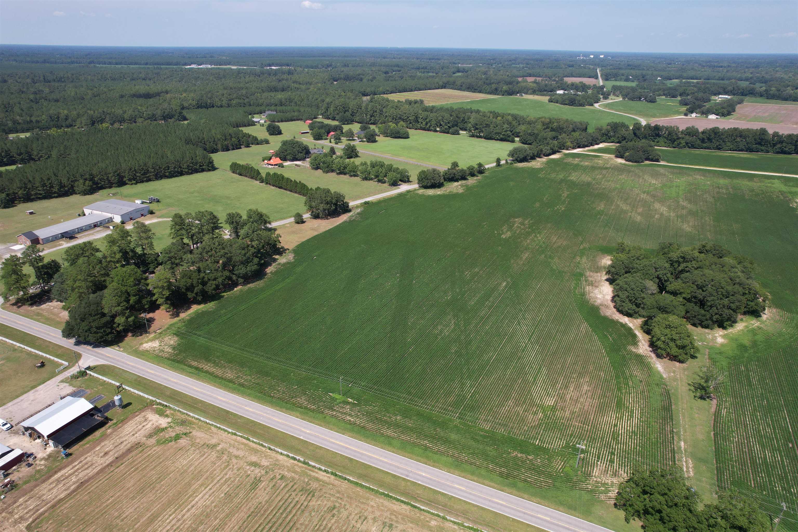 Lot 4 - Sumter Hwy. Property Photo 6