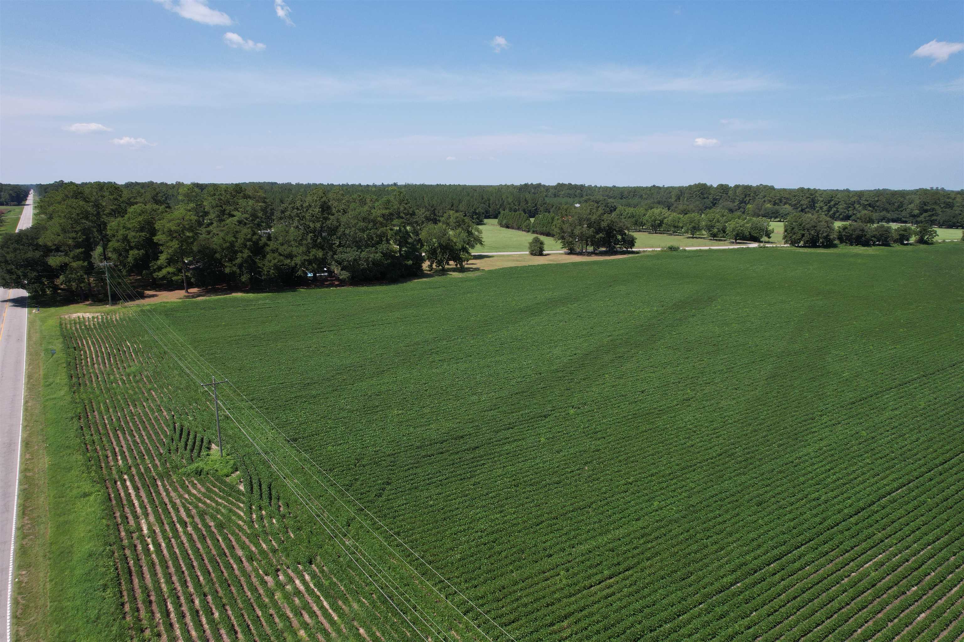 Lot 4 - Sumter Hwy. Property Photo 7