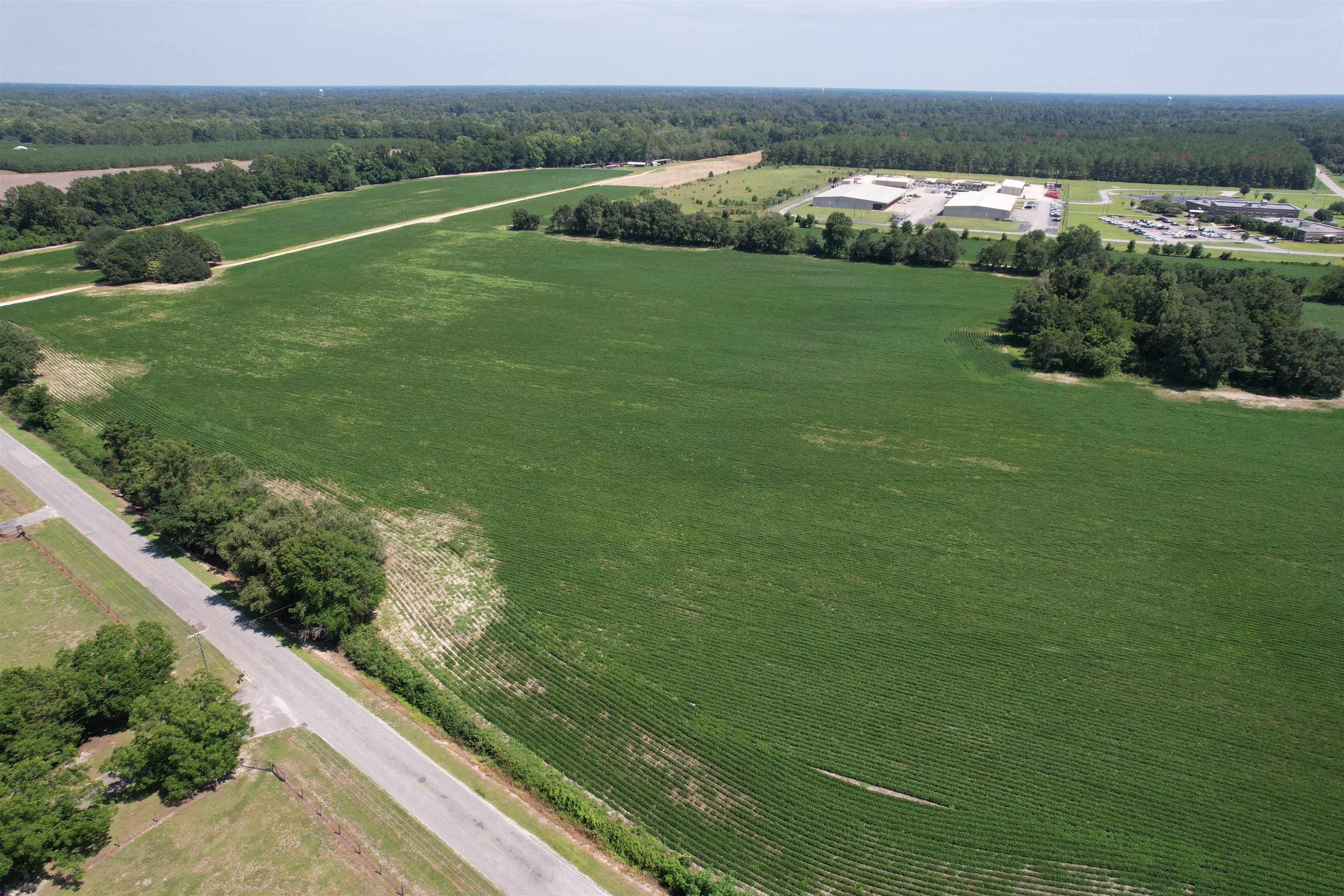 Lot 5 - Buck Strong Rd Property Photo 1