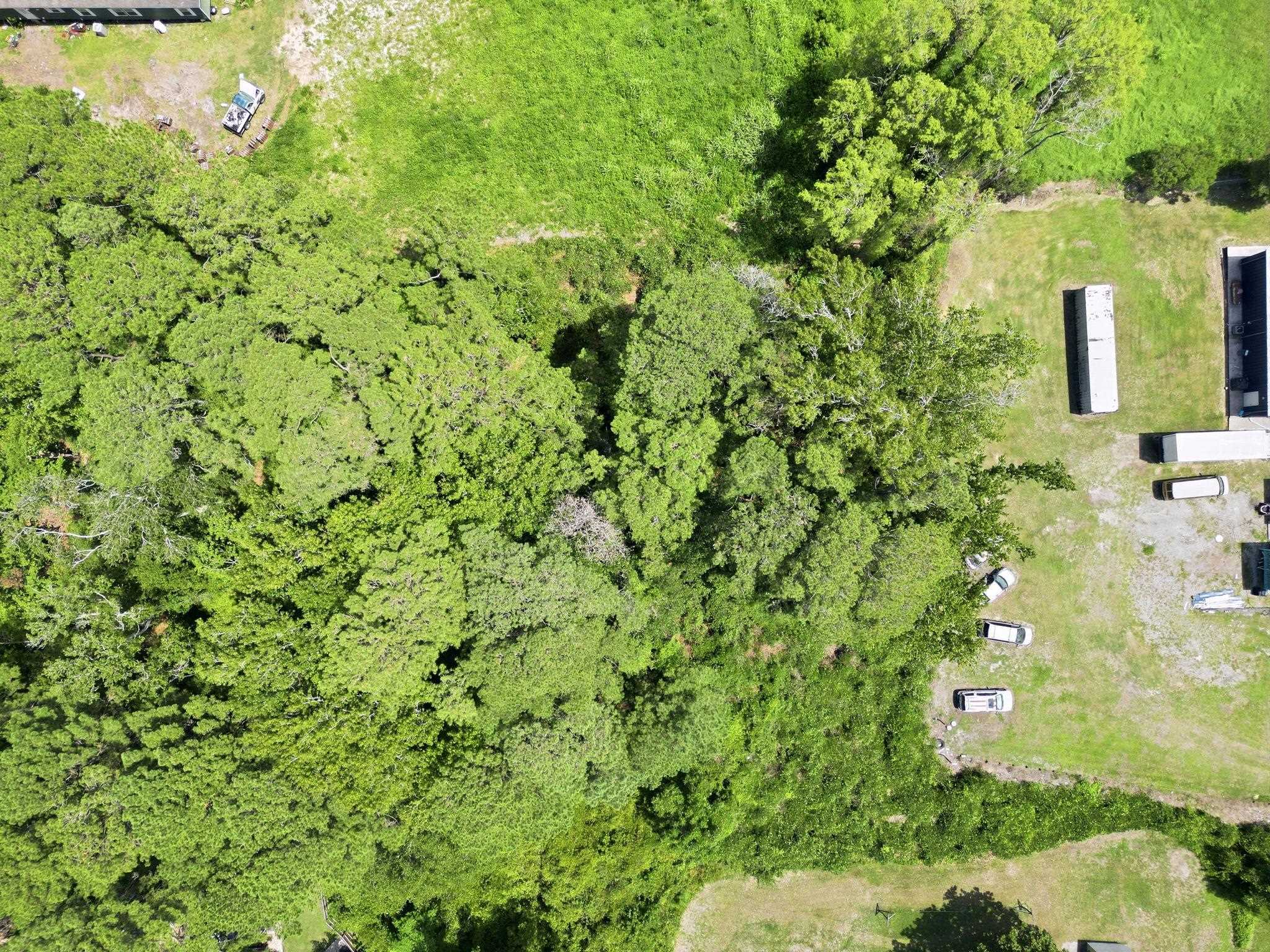 Tbd Highway 90 Property Photo 4