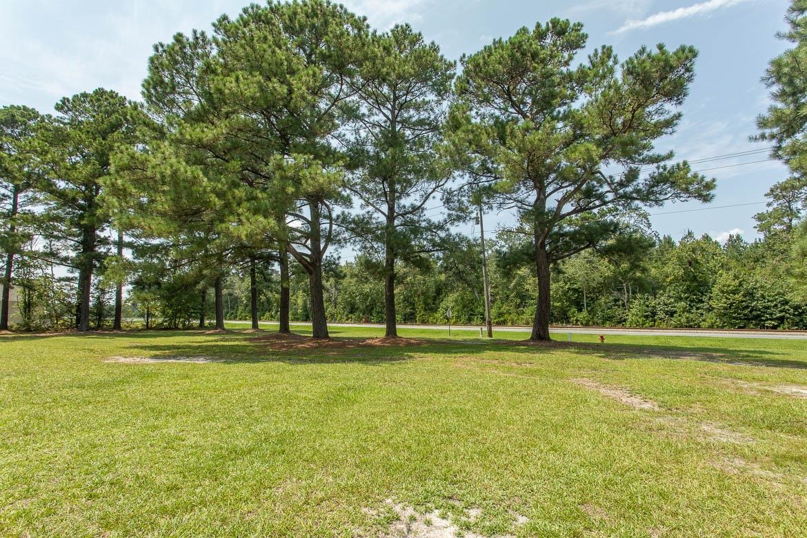 1569 Highway 701 South Property Photo 13