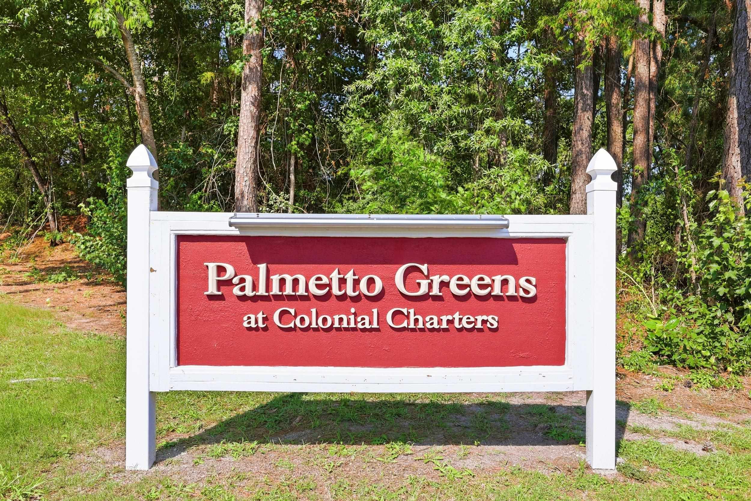 218 Palmetto Green Dr. Property Photo 38