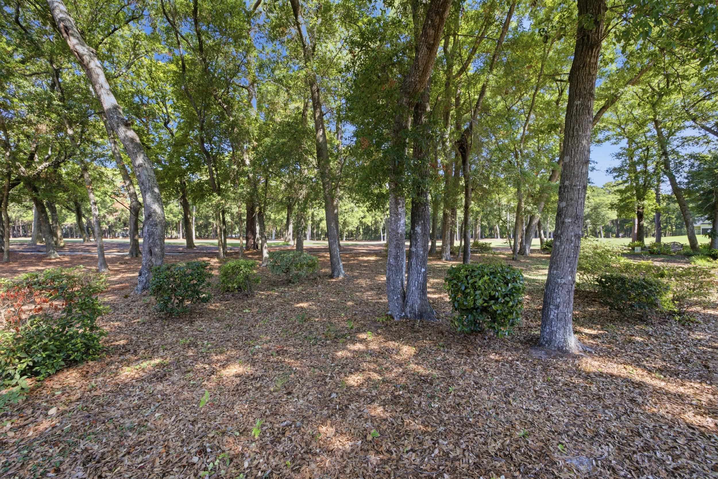 4817 Bucks Bluff Dr. Property Photo 37