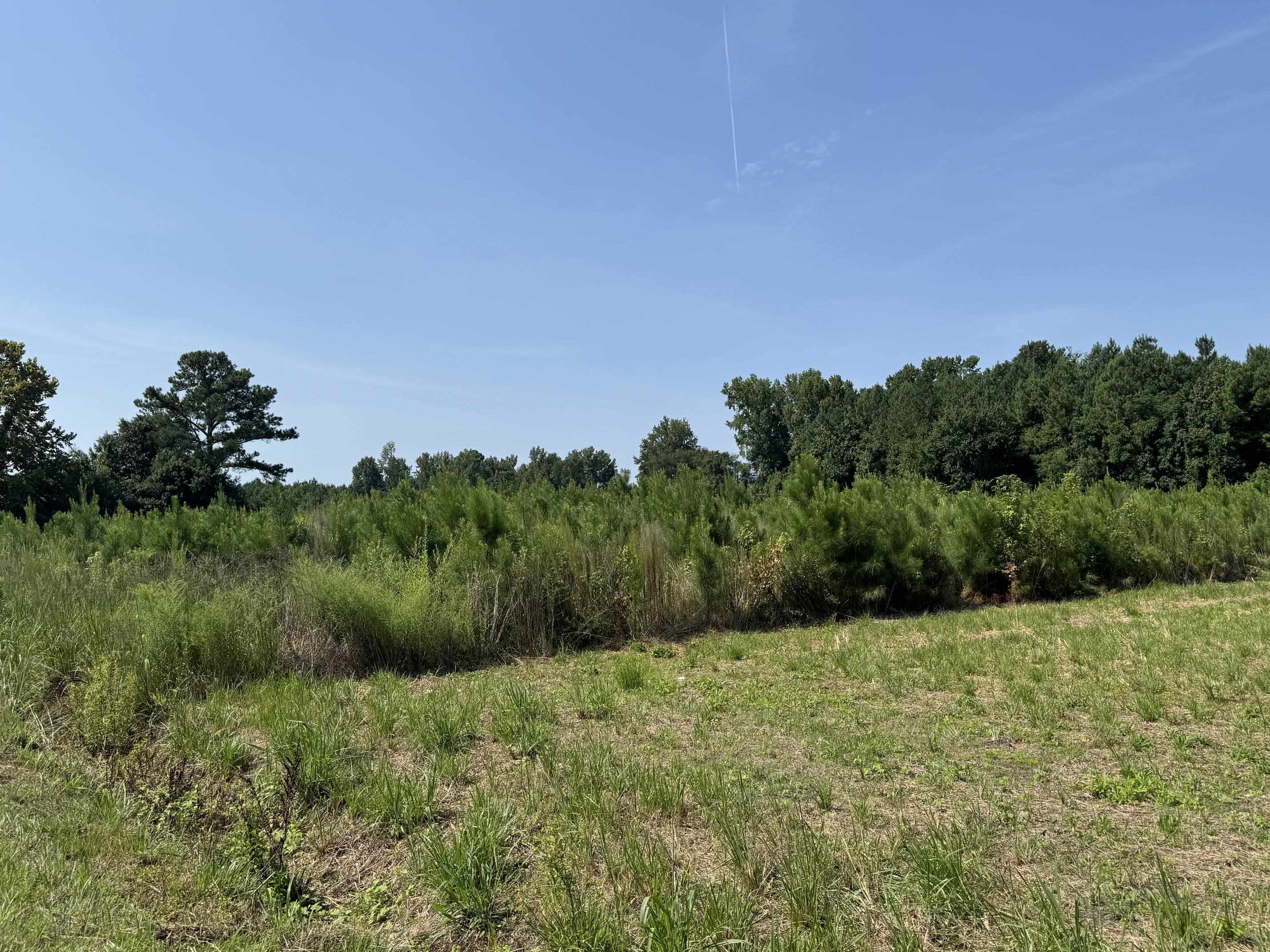 Tbd Spring Branch Rd. Property Photo 1