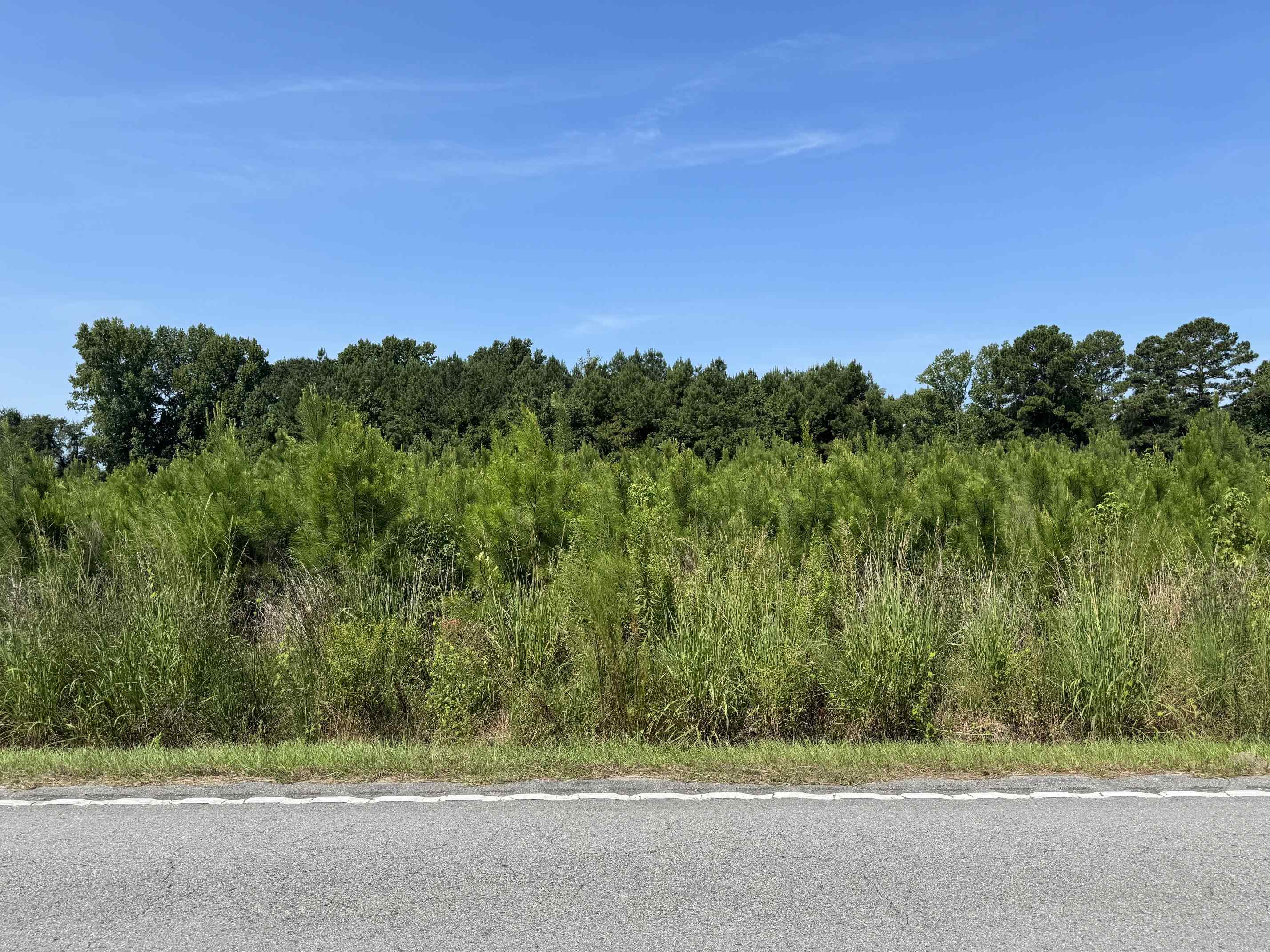 Tbd Spring Branch Rd. Property Photo 2
