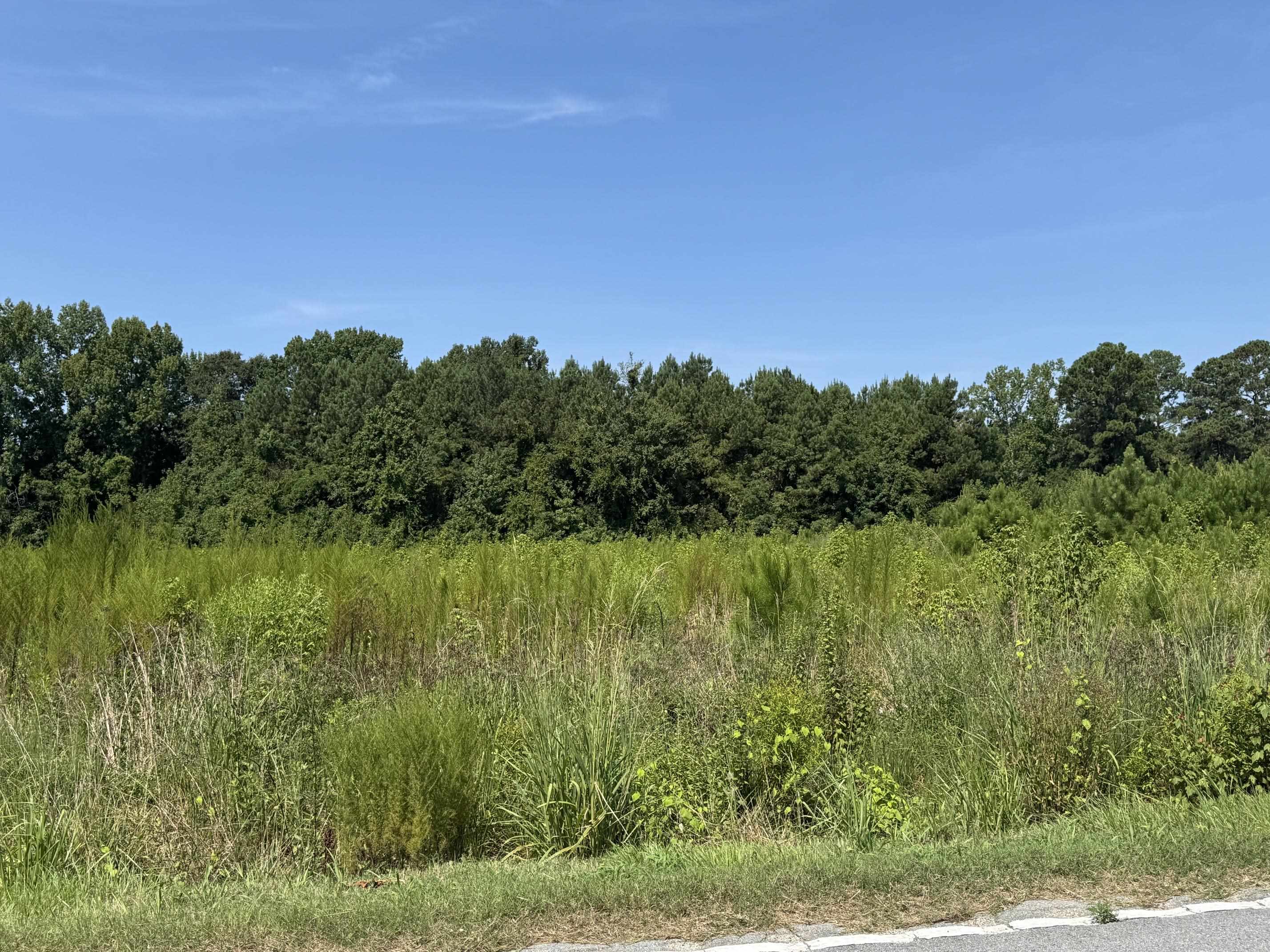 Tbd Spring Branch Rd. Property Photo 3