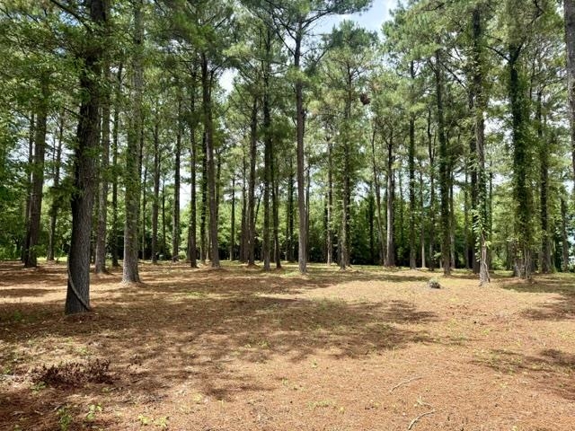 Tbd Mack Rd. Property Photo 11