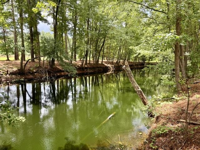Tbd Mack Rd. Property Photo 13