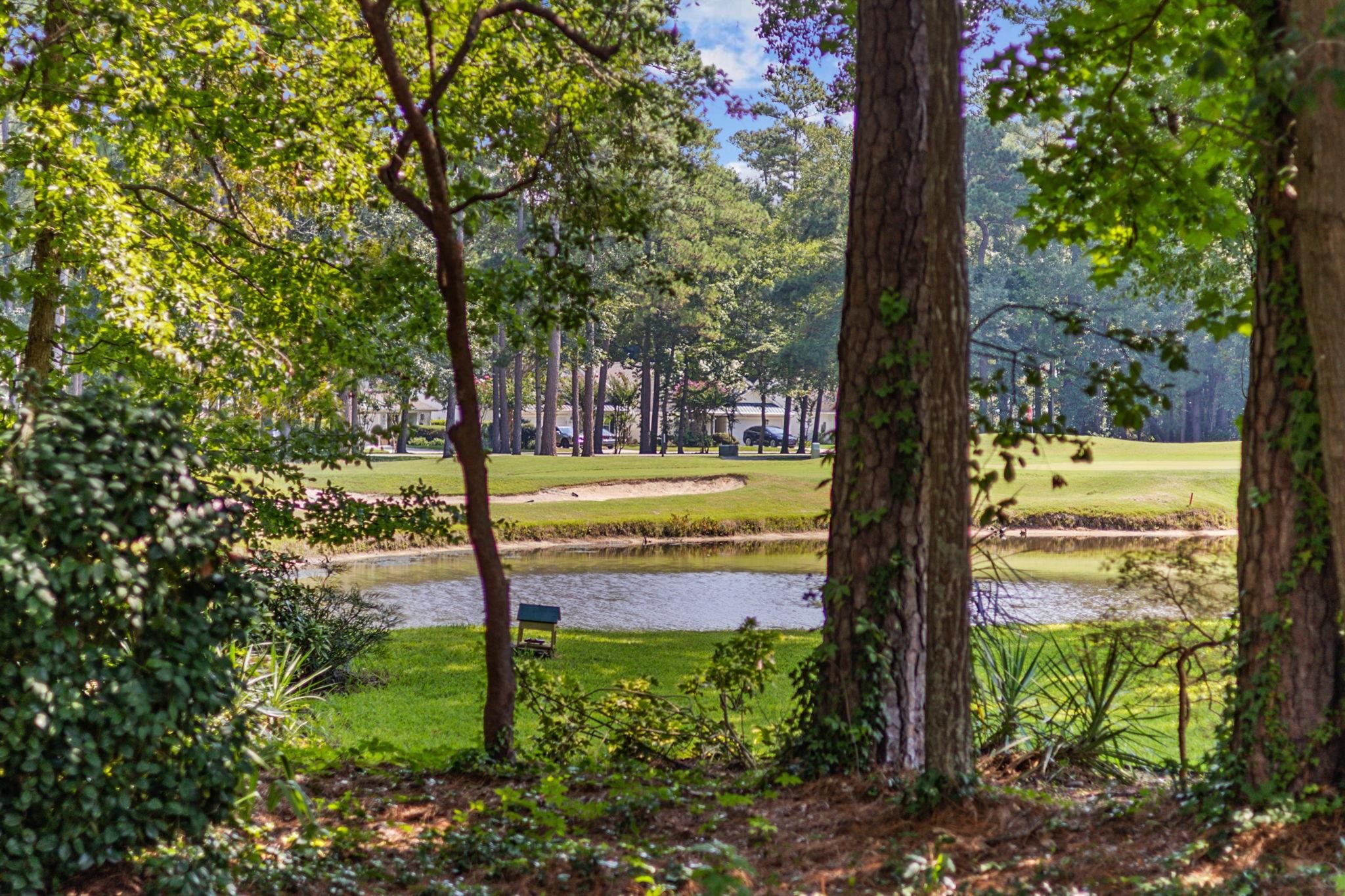4538 Firethorne Dr. Property Photo 2