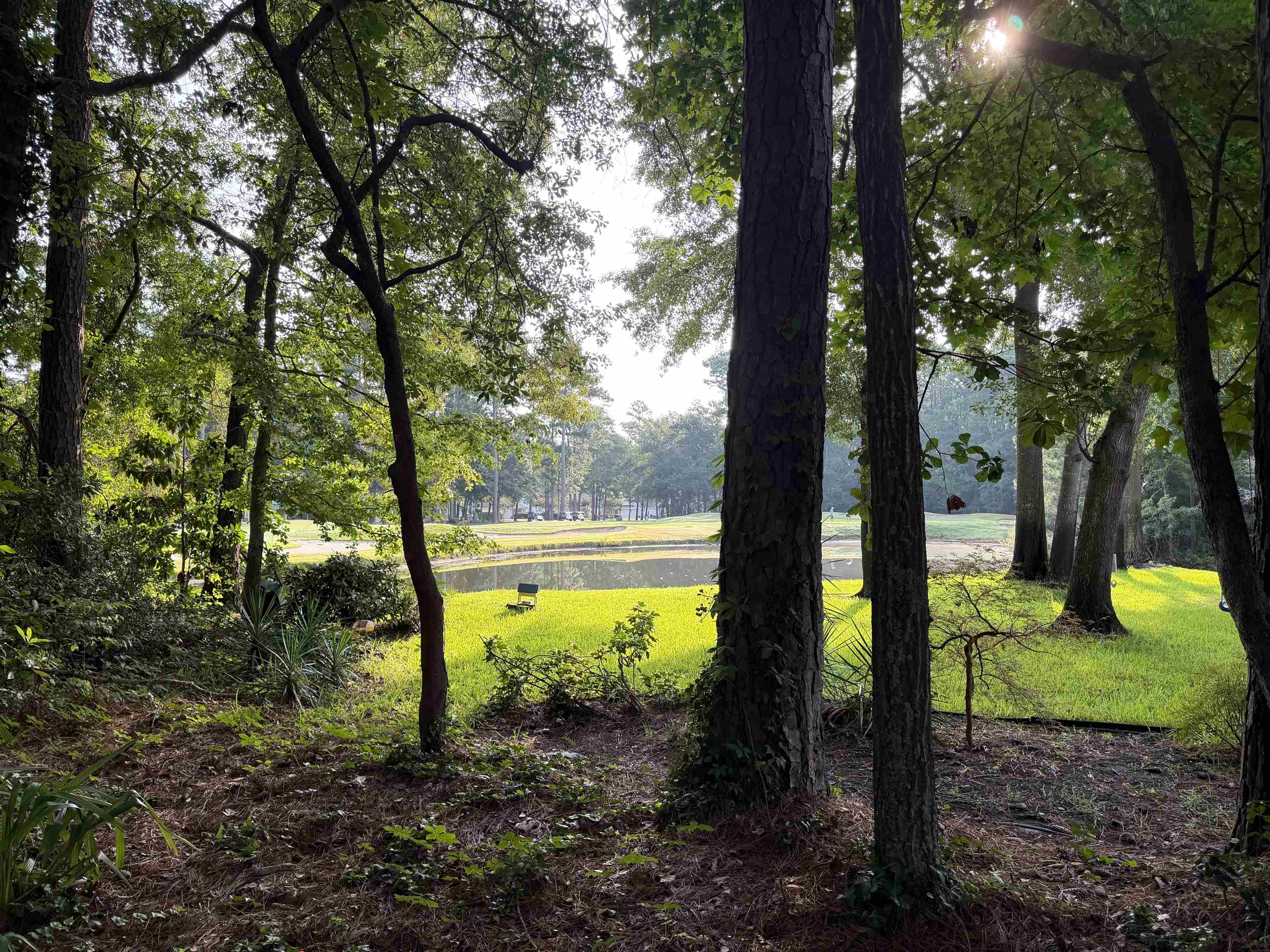 4538 Firethorne Dr. Property Photo 65