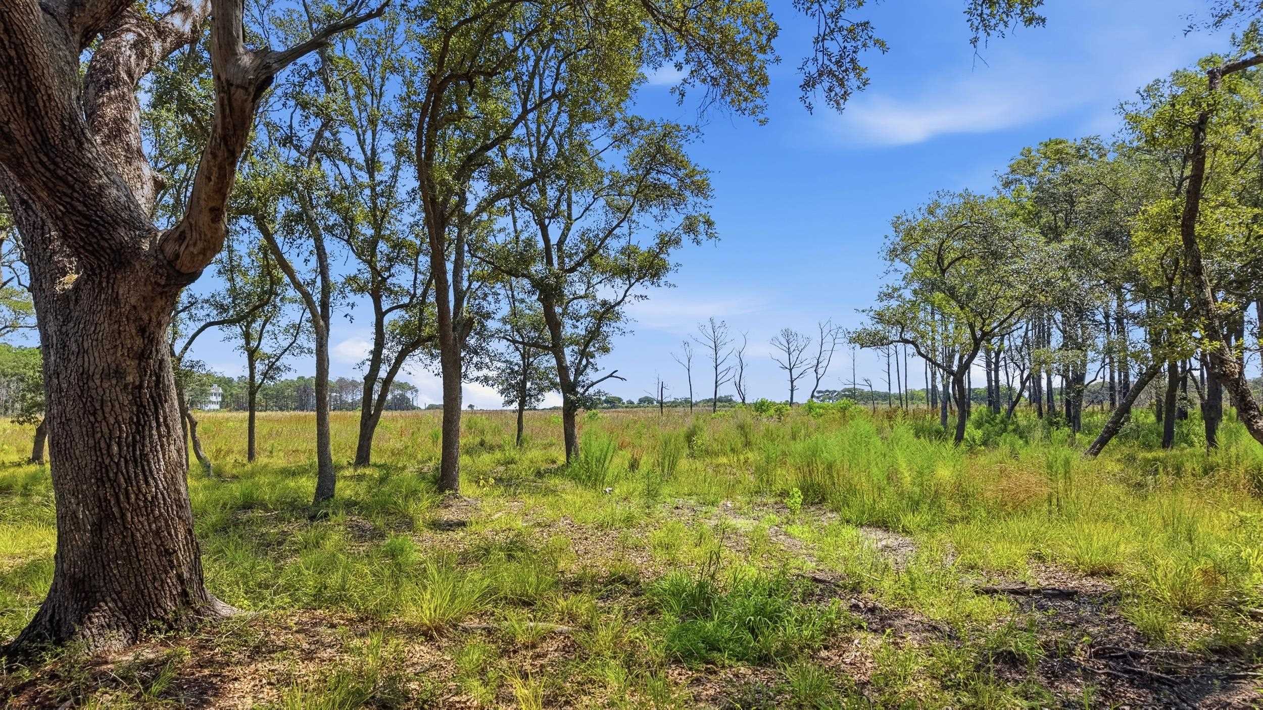 279 Midden Ln. Property Photo 11