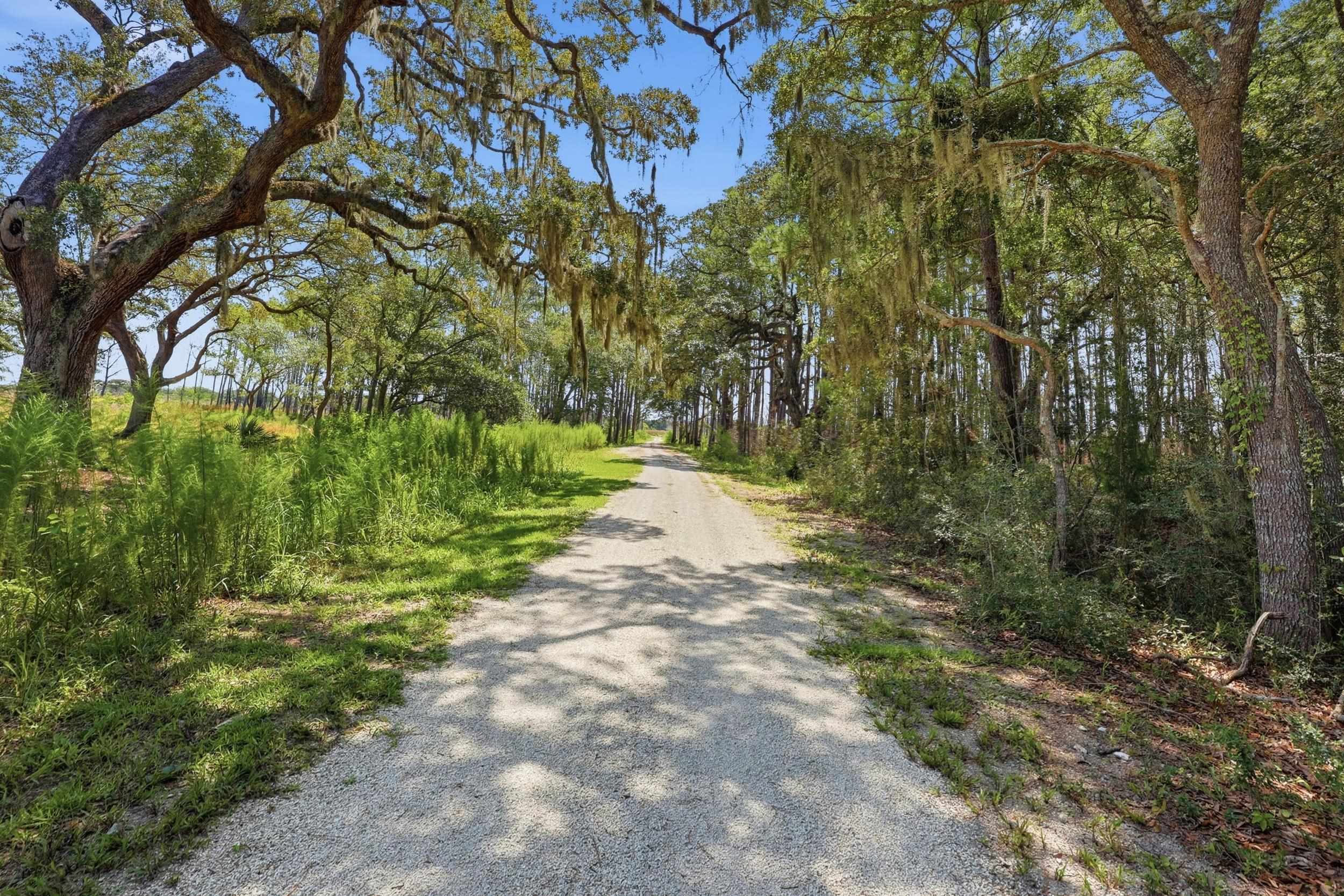 279 Midden Ln. Property Photo 12