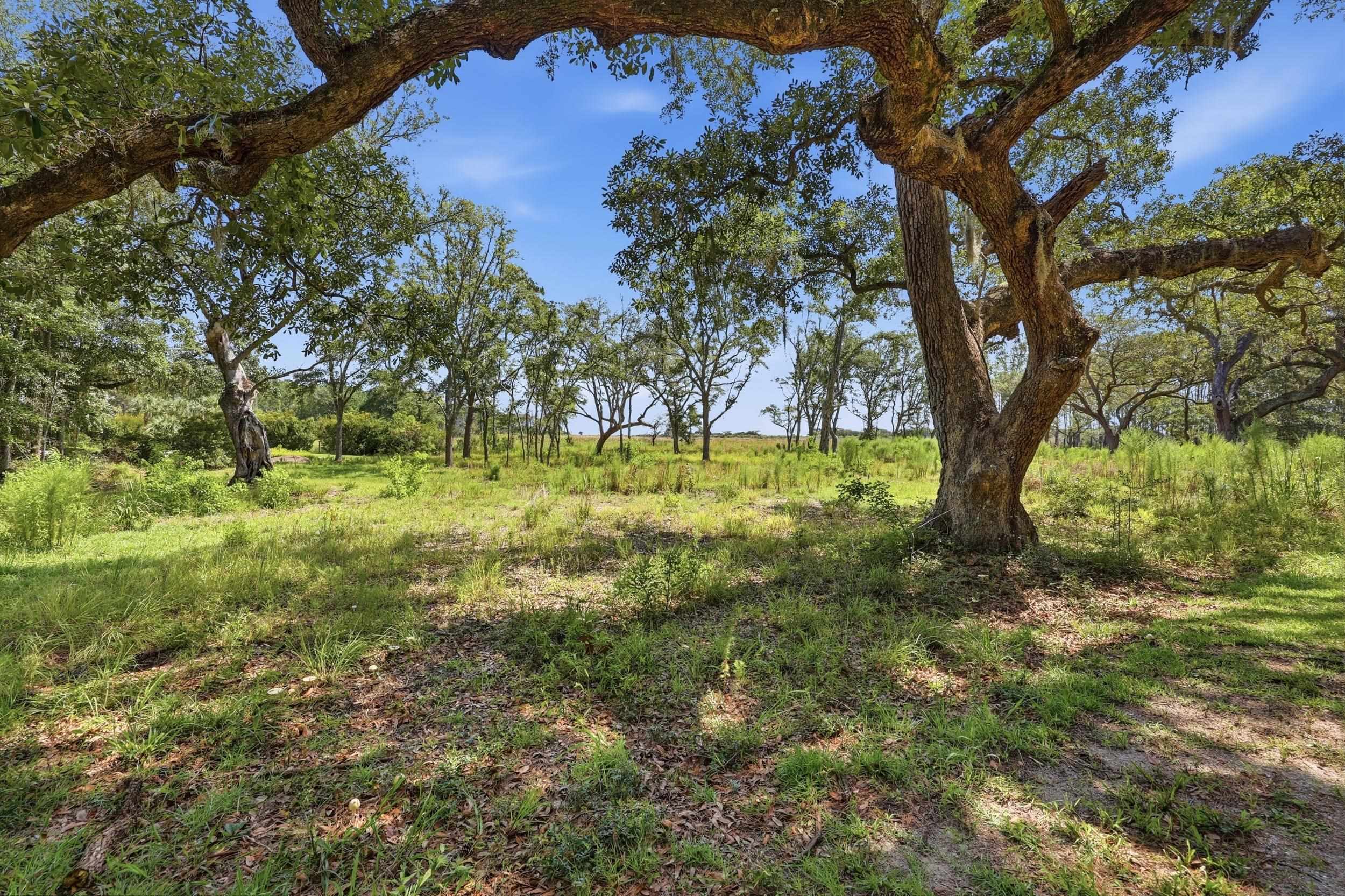 279 Midden Ln. Property Photo 13